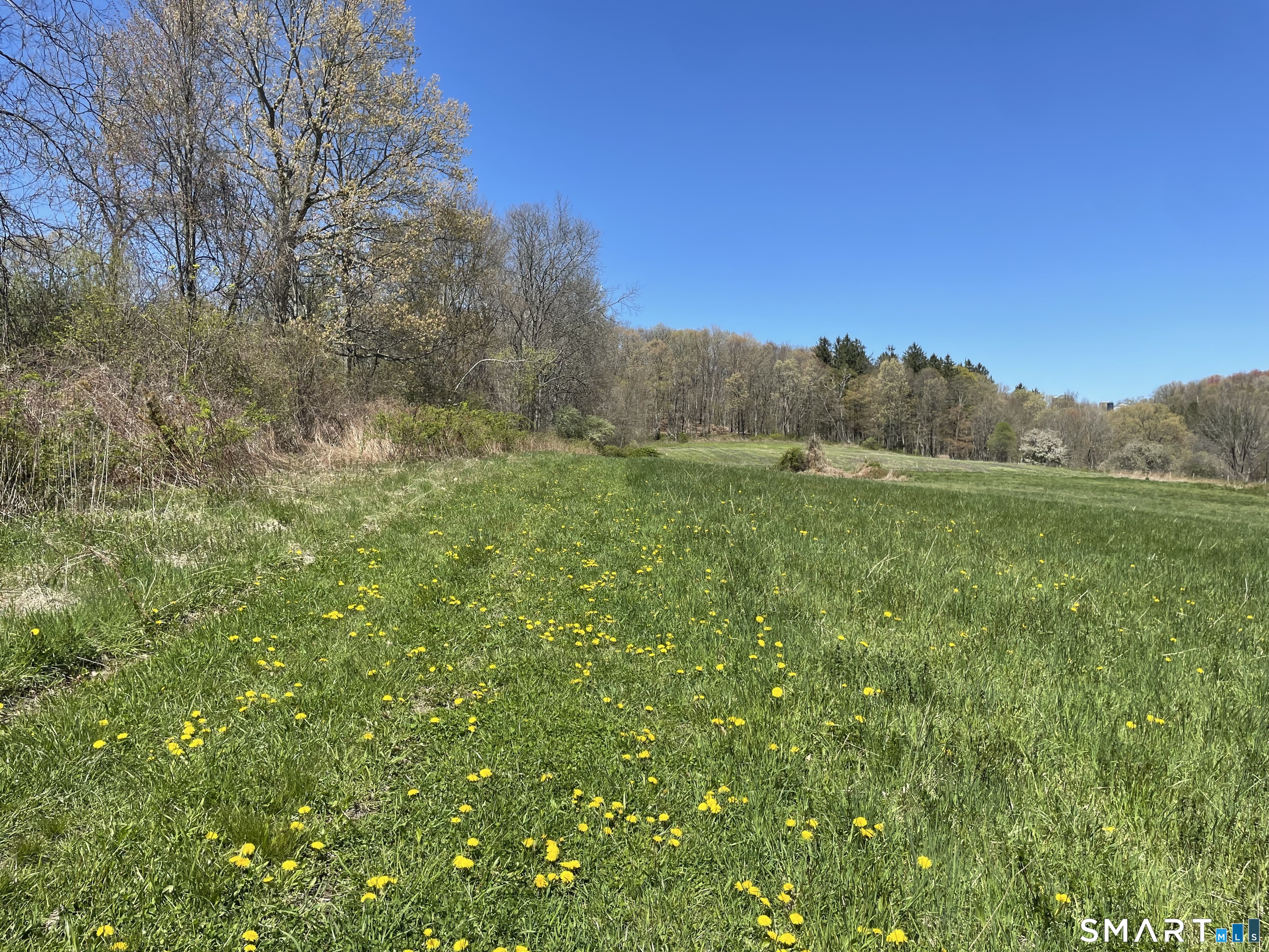 55 Ranney Hill Road Property Photo 6