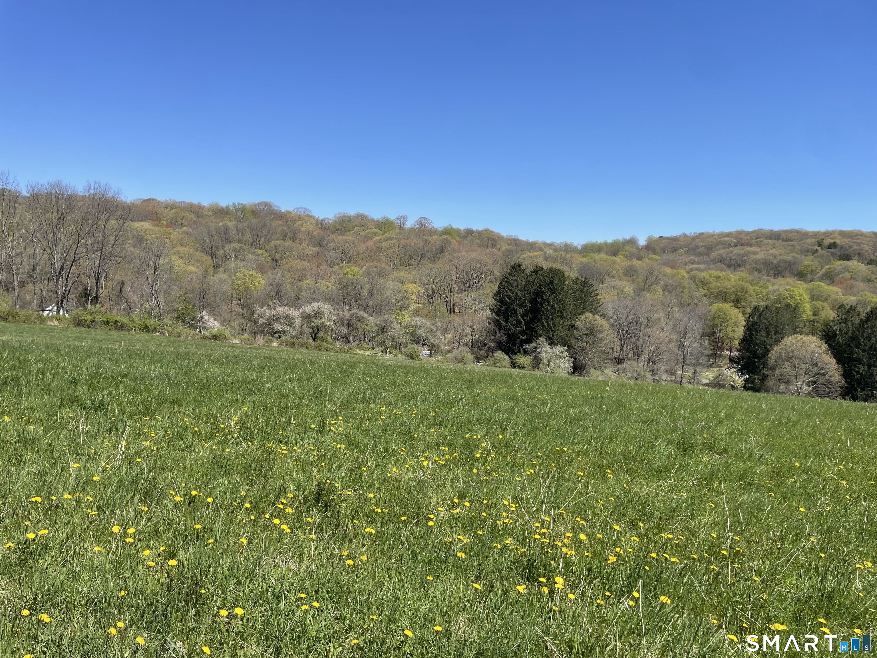55 Ranney Hill Road Property Photo 8