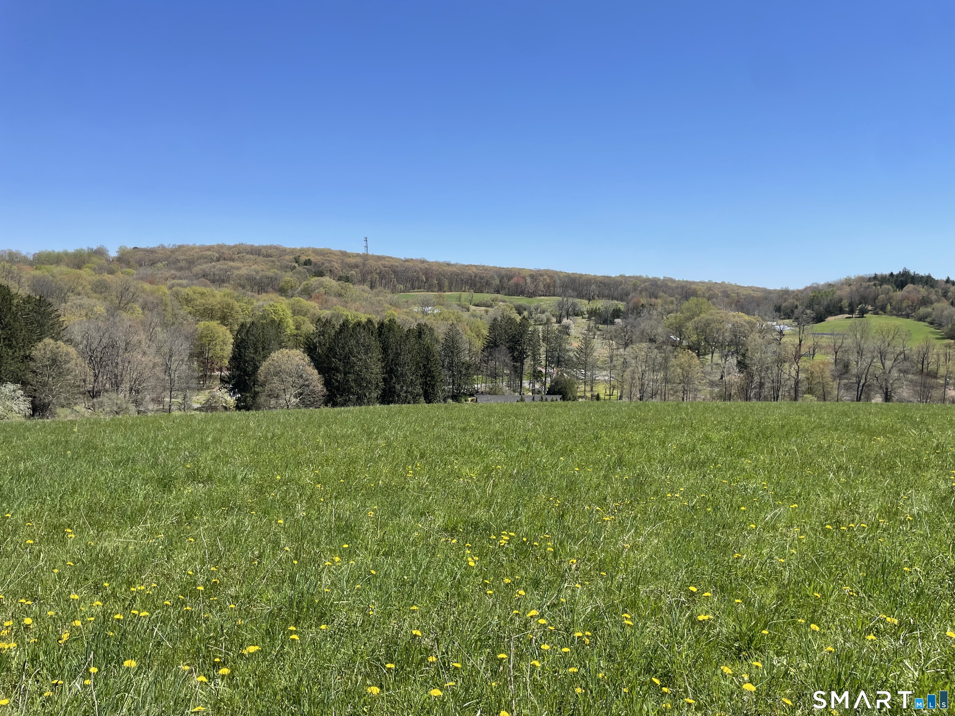 55 Ranney Hill Road Property Photo 10