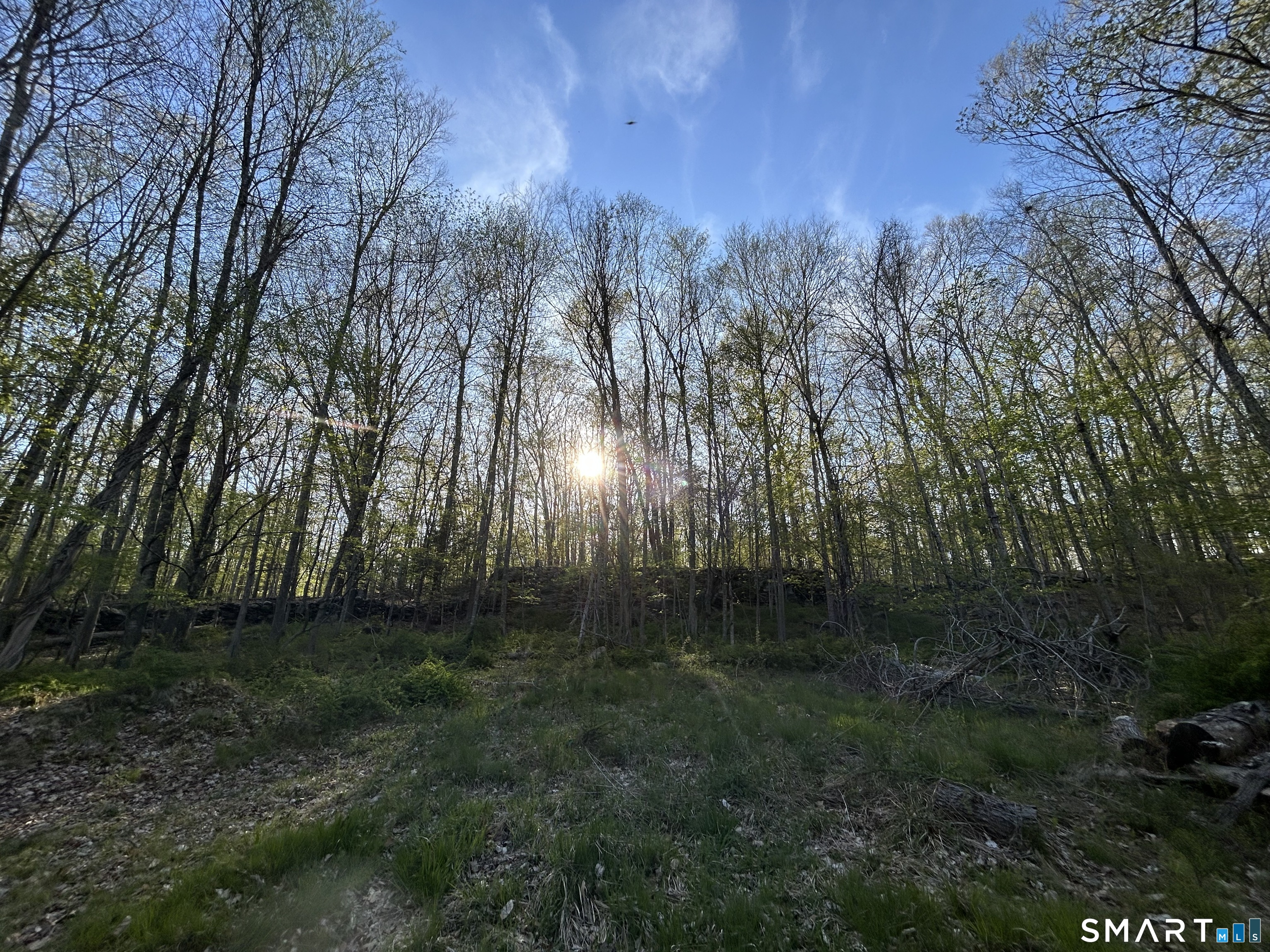 78 Salt Rock Road Property Photo 1