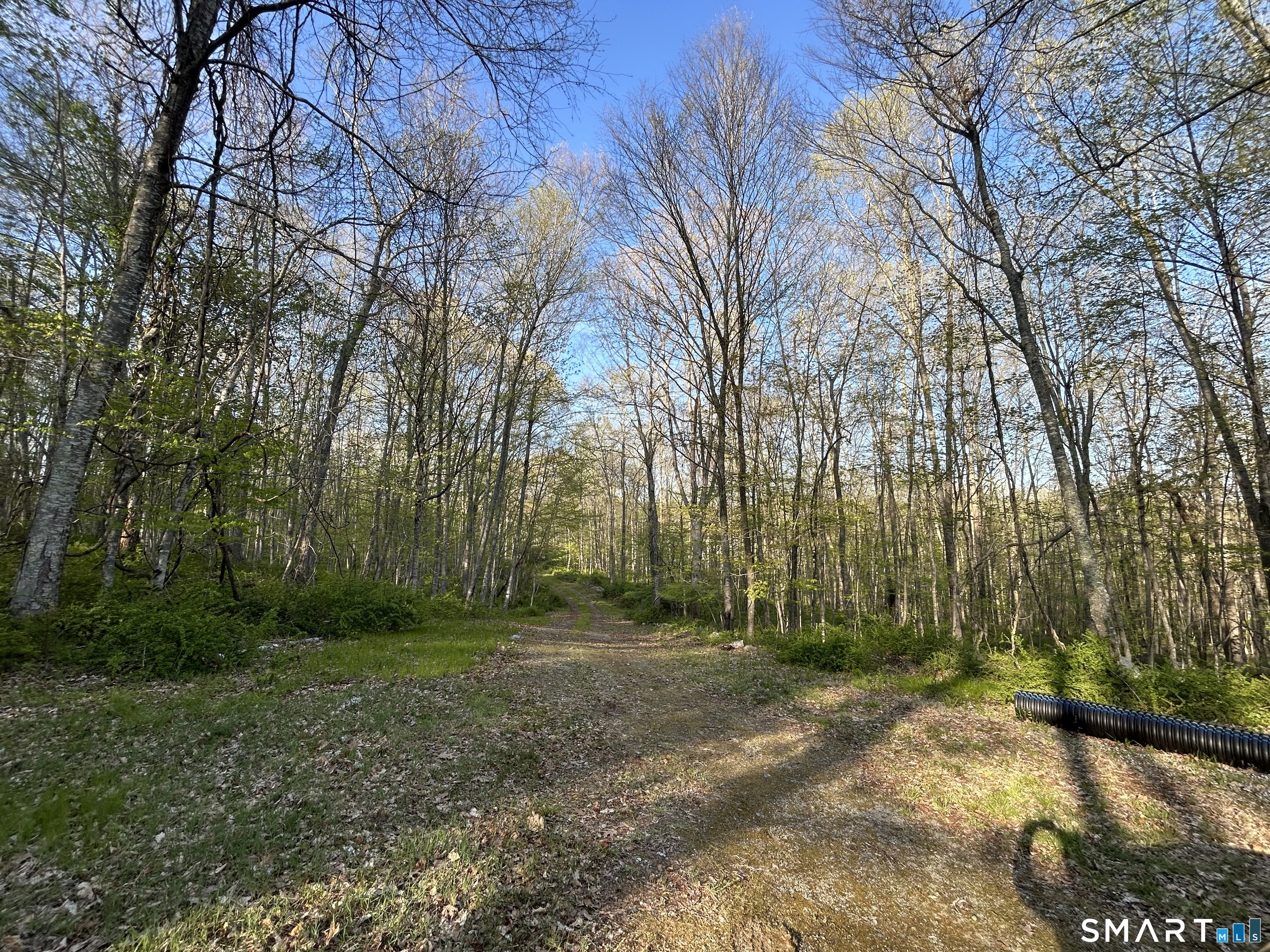 78 Salt Rock Road Property Photo 3
