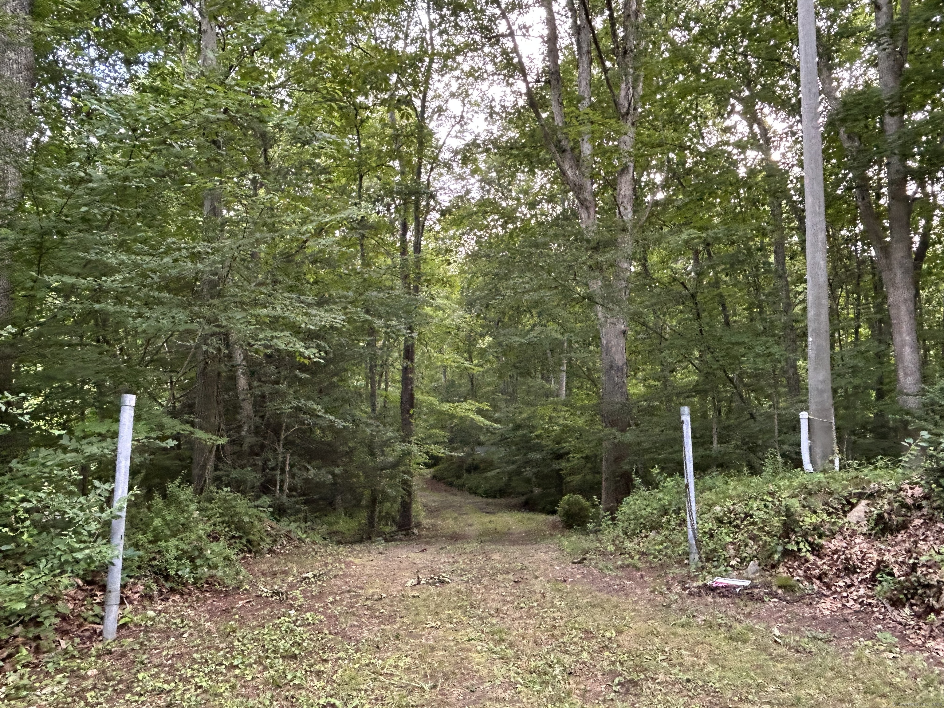 78 Salt Rock Road Property Photo 6