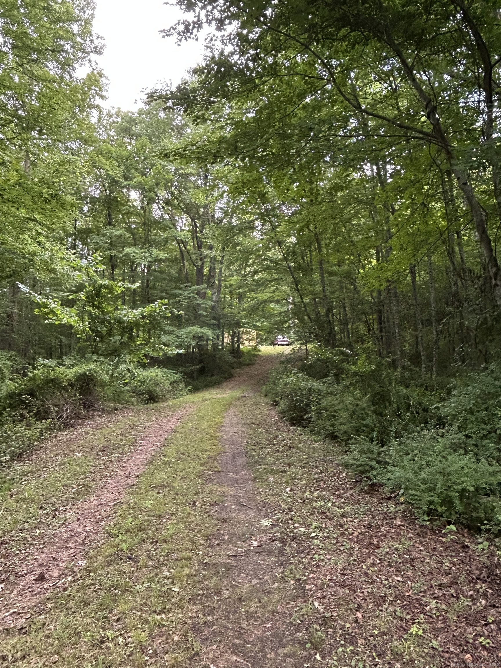 78 Salt Rock Road Property Photo 8