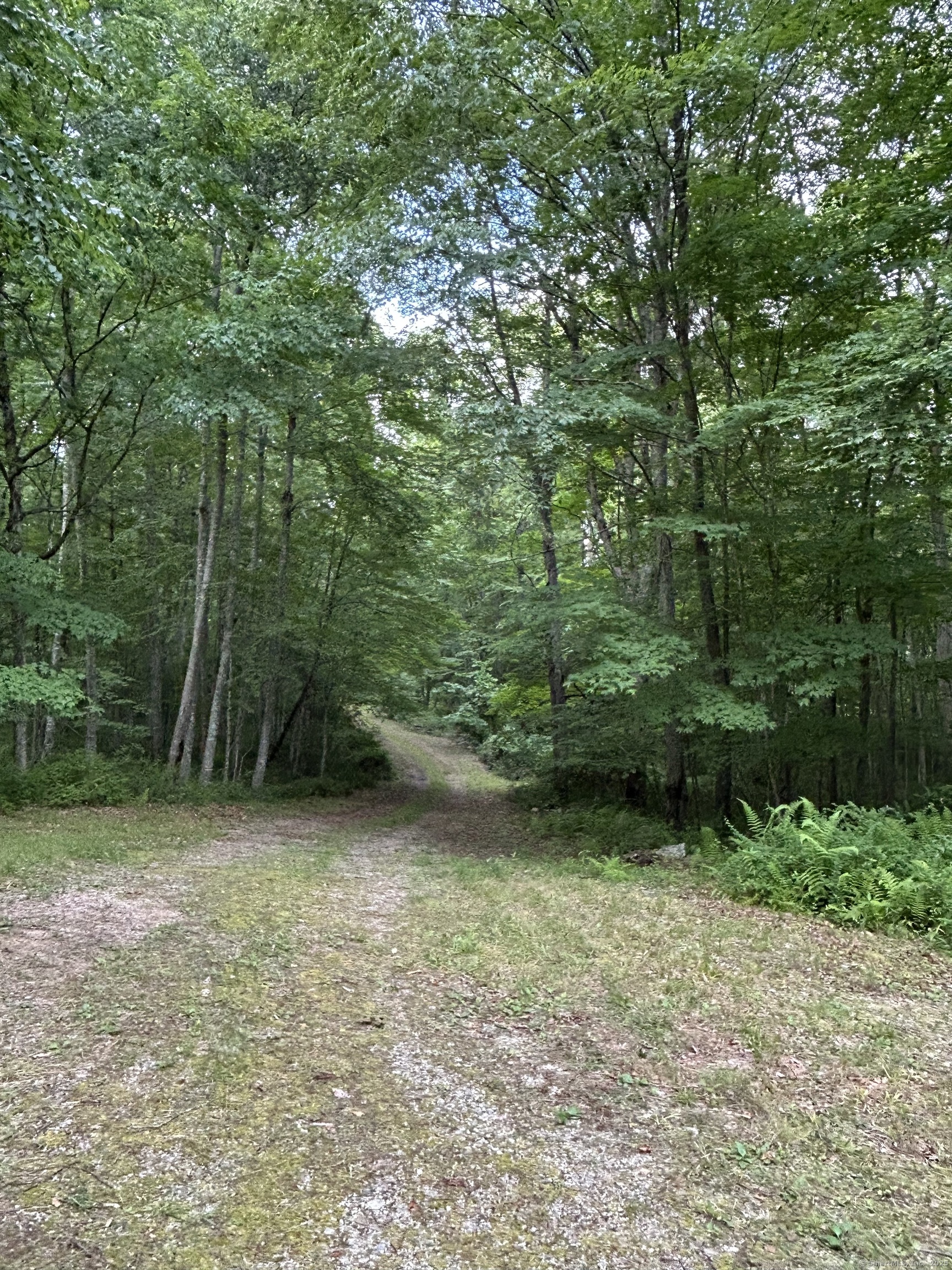 78 Salt Rock Road Property Photo 10
