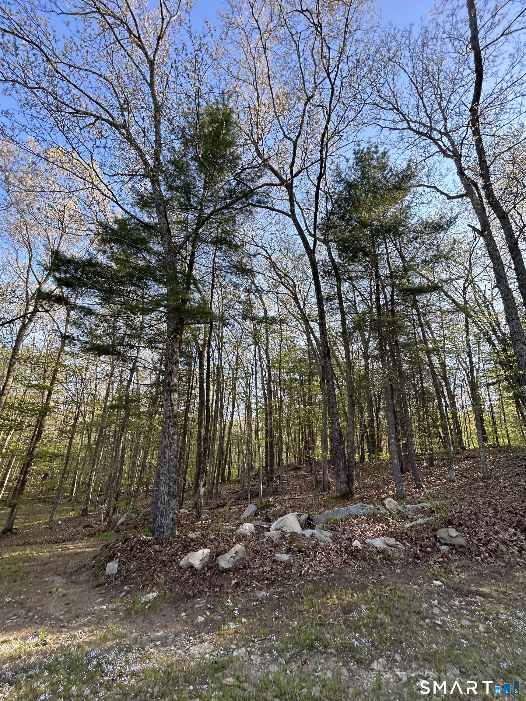 78 Salt Rock Road Property Photo 26