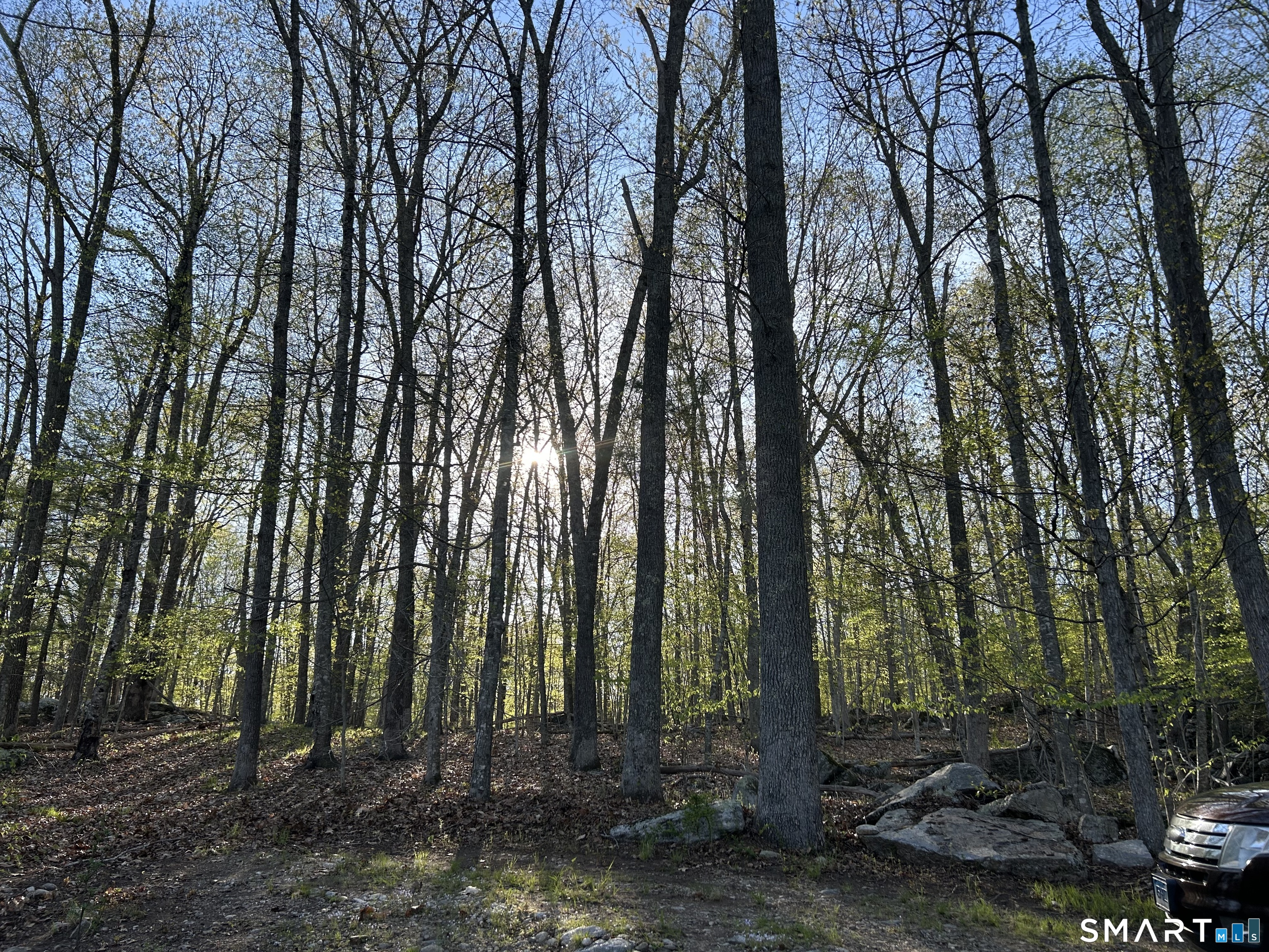 78 Salt Rock Road Property Photo 27
