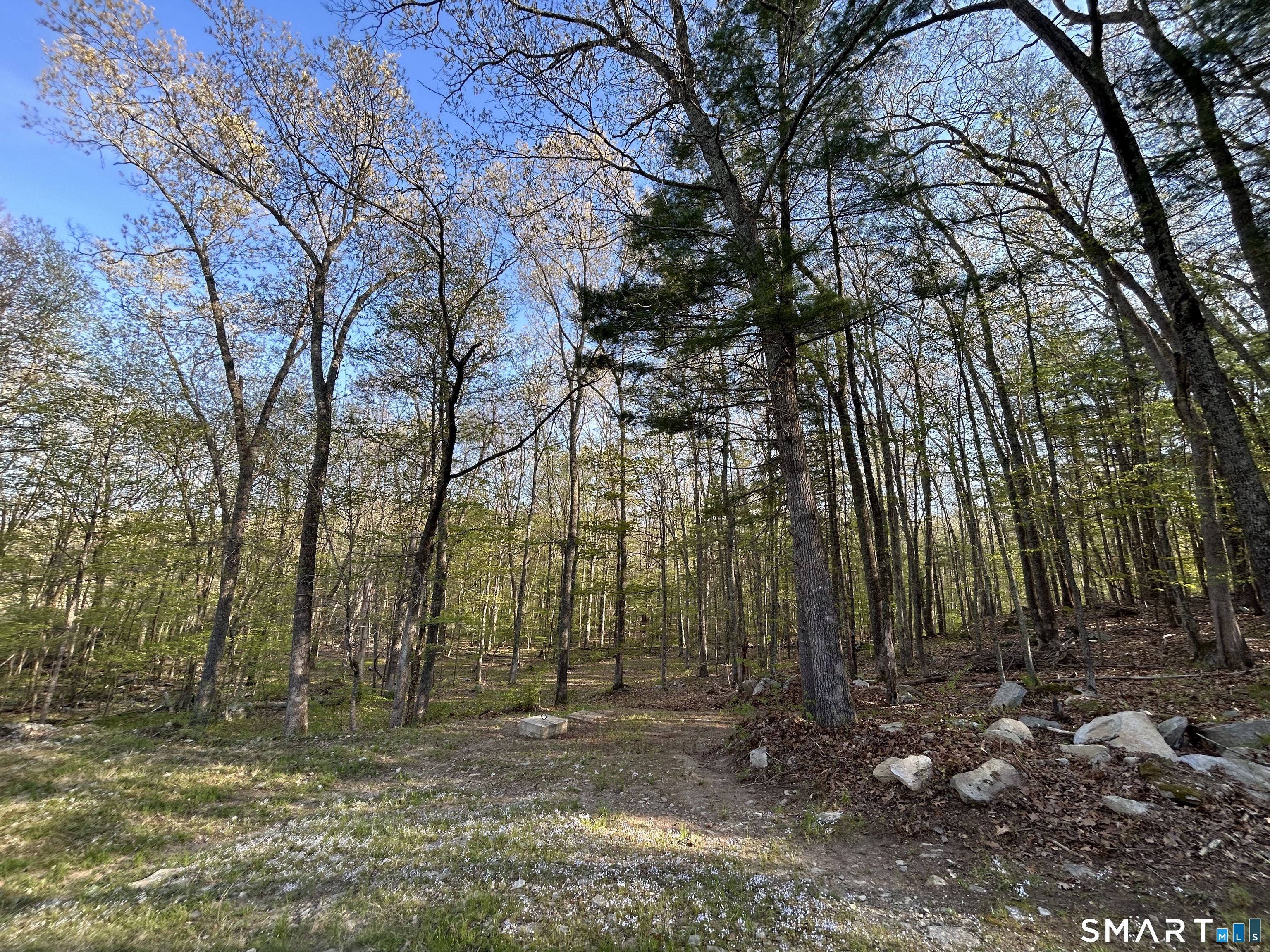 78 Salt Rock Road Property Photo 28