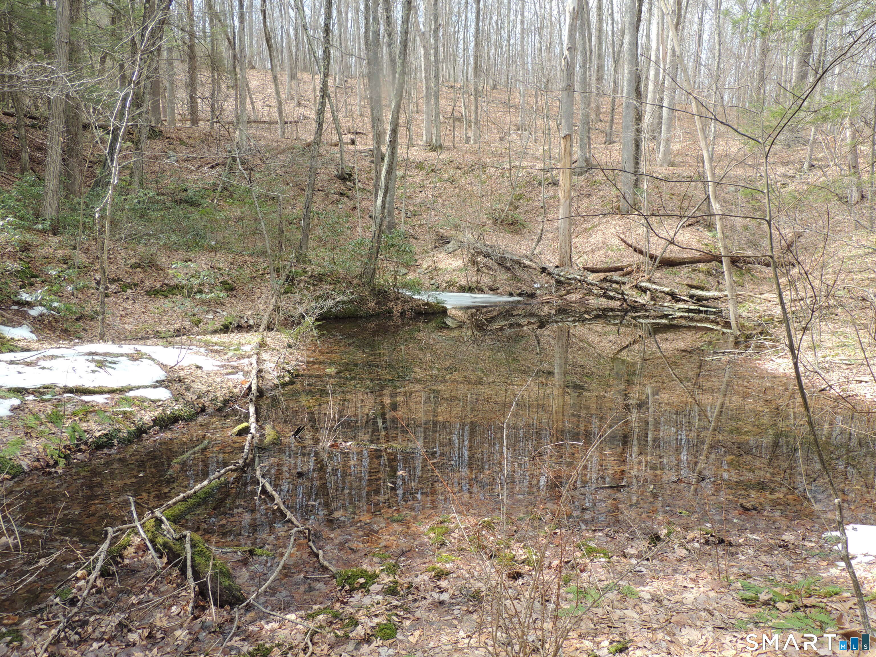 24171337 Property Photo 9