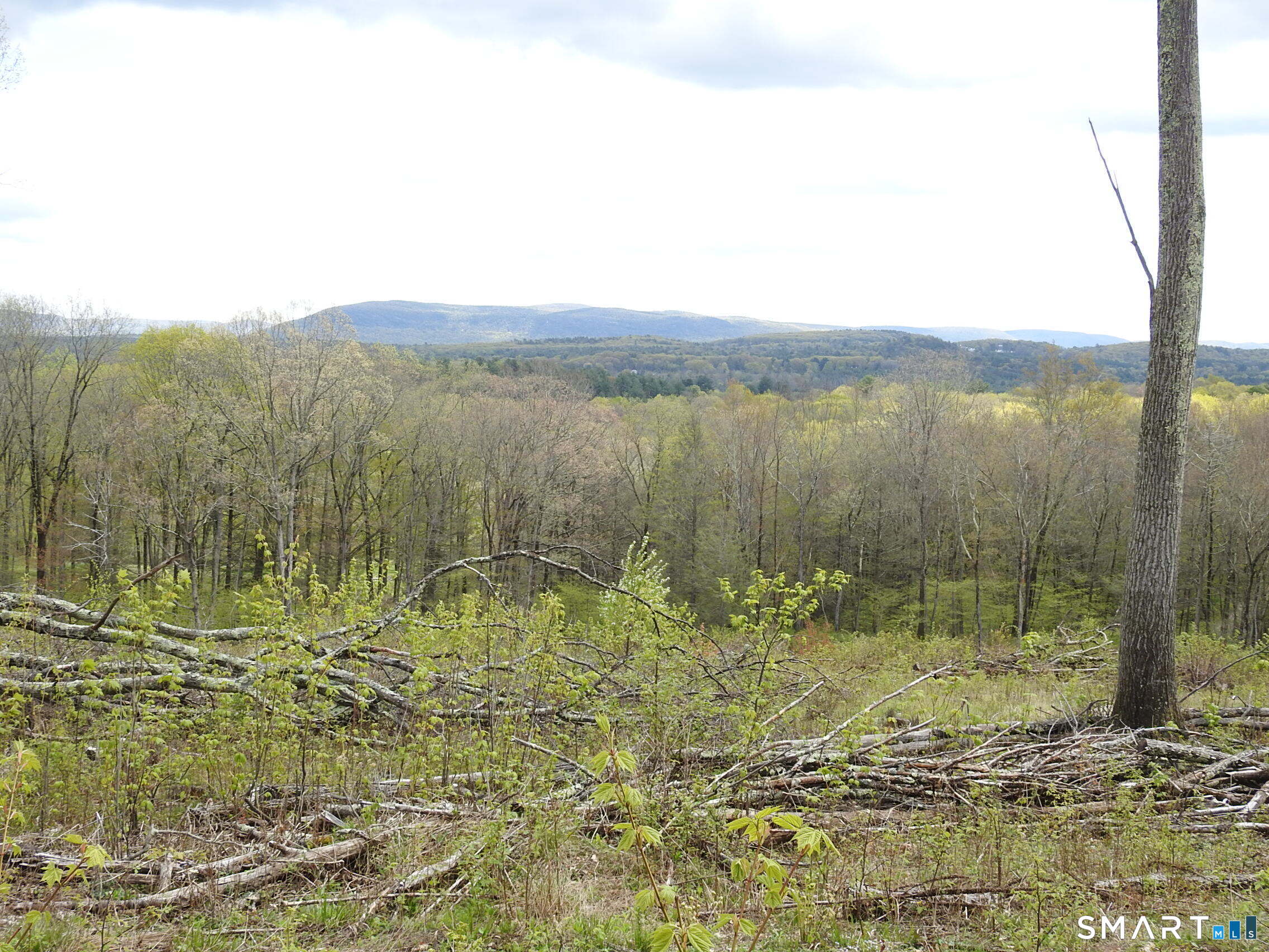 24171337 Property Photo 13