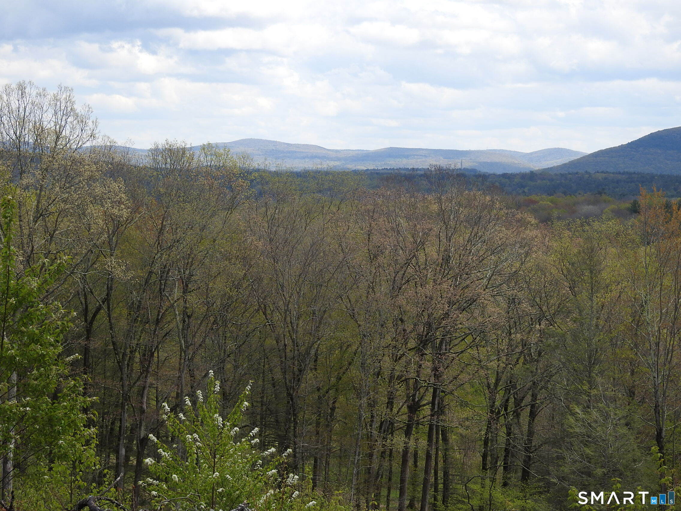 24171337 Property Photo 14