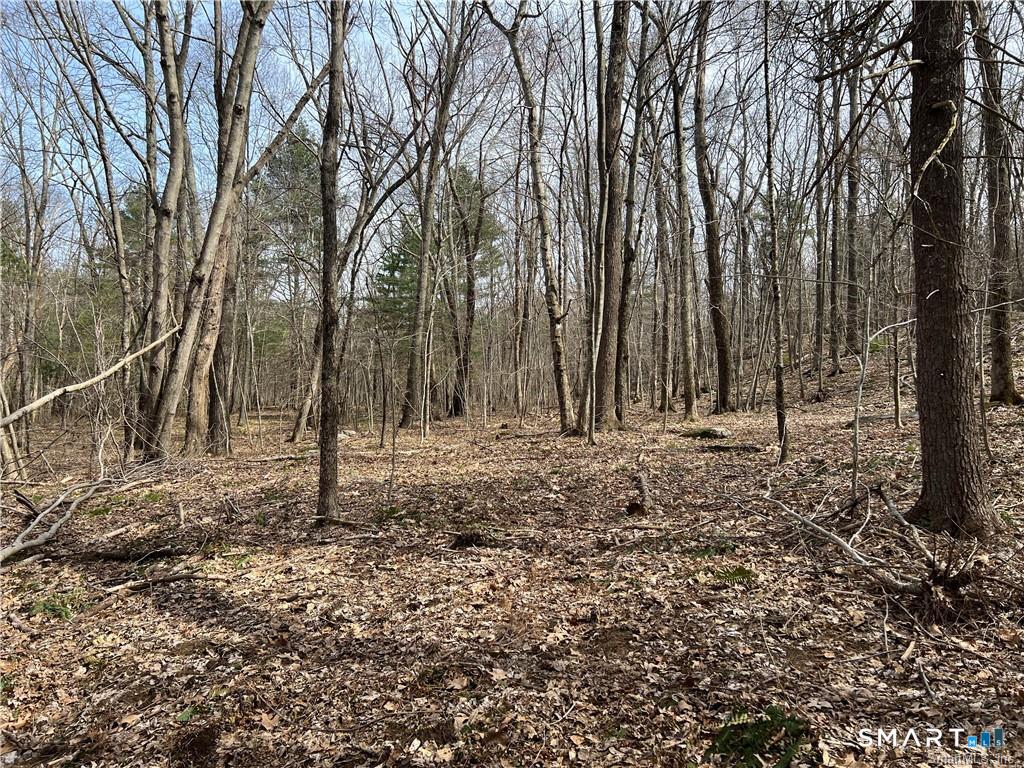 106 Church Street Property Photo 1