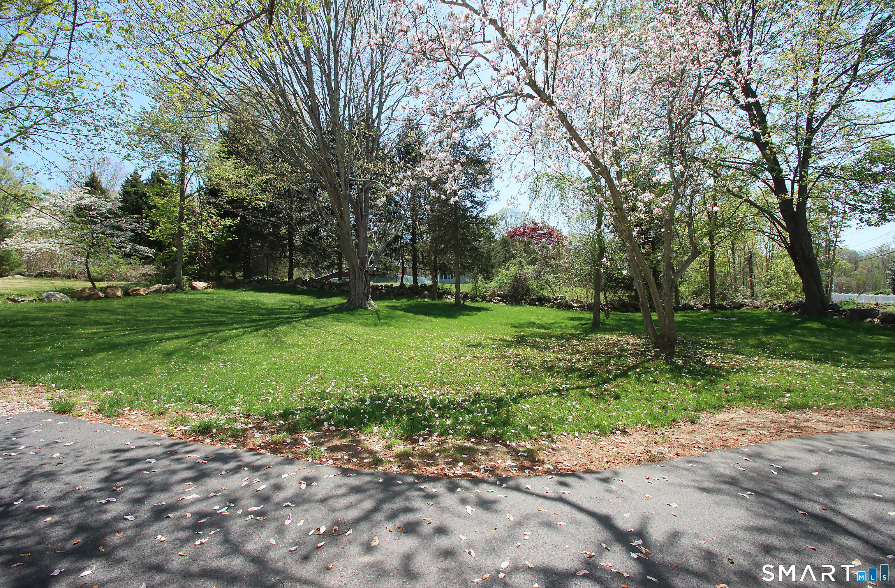 452 Essex Road Property Photo 6