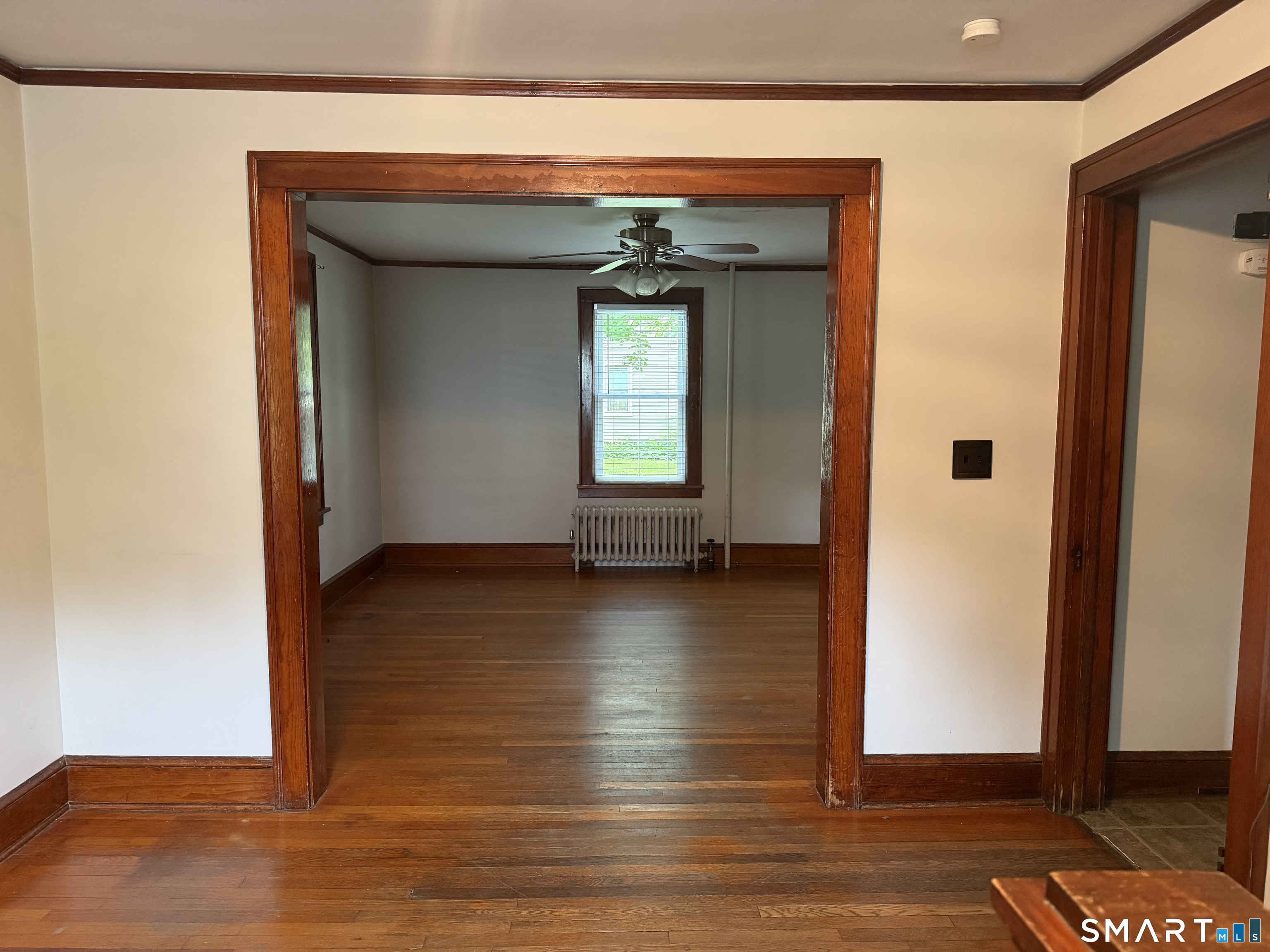 287 Main West Street Property Photo 25