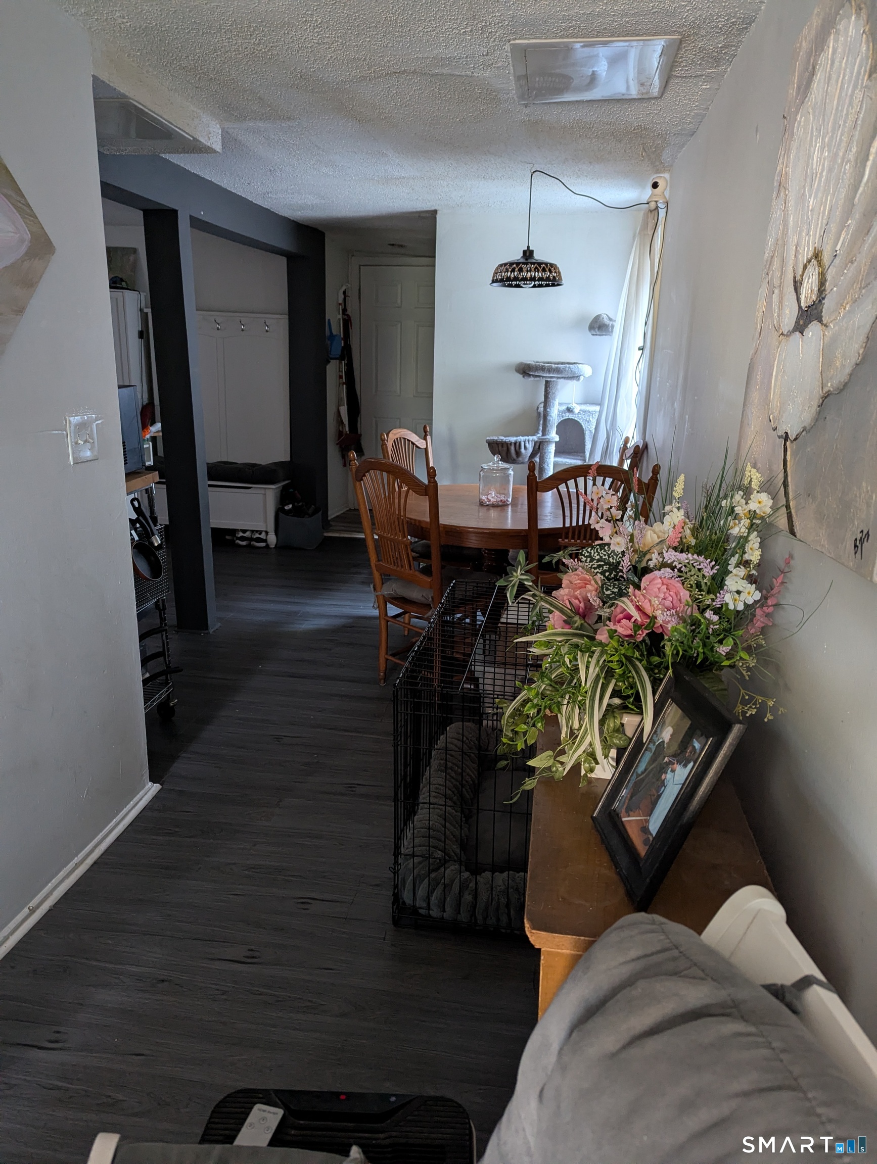19 Portland Street Property Photo 4