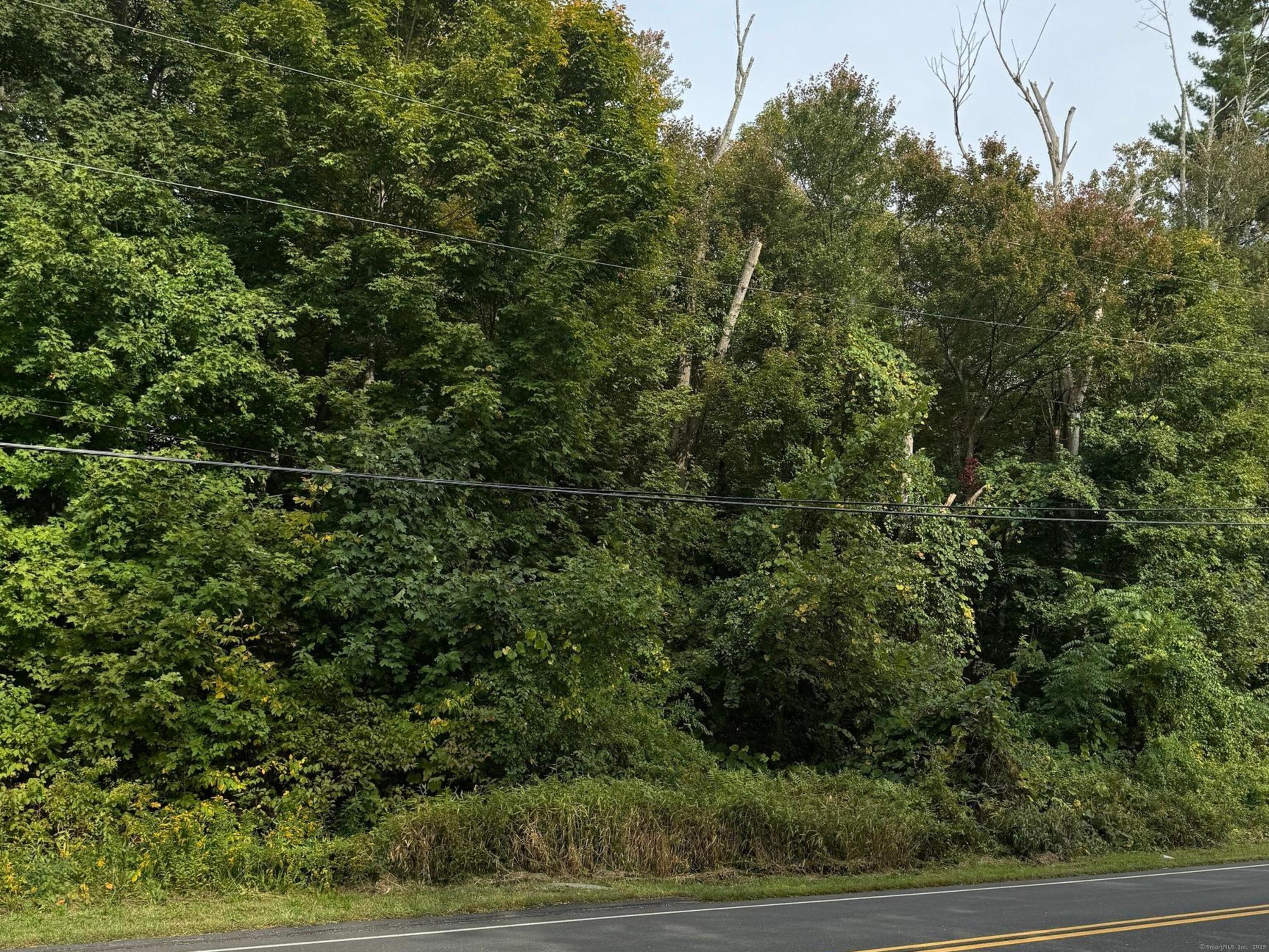 142 Turnpike Road Property Photo 1