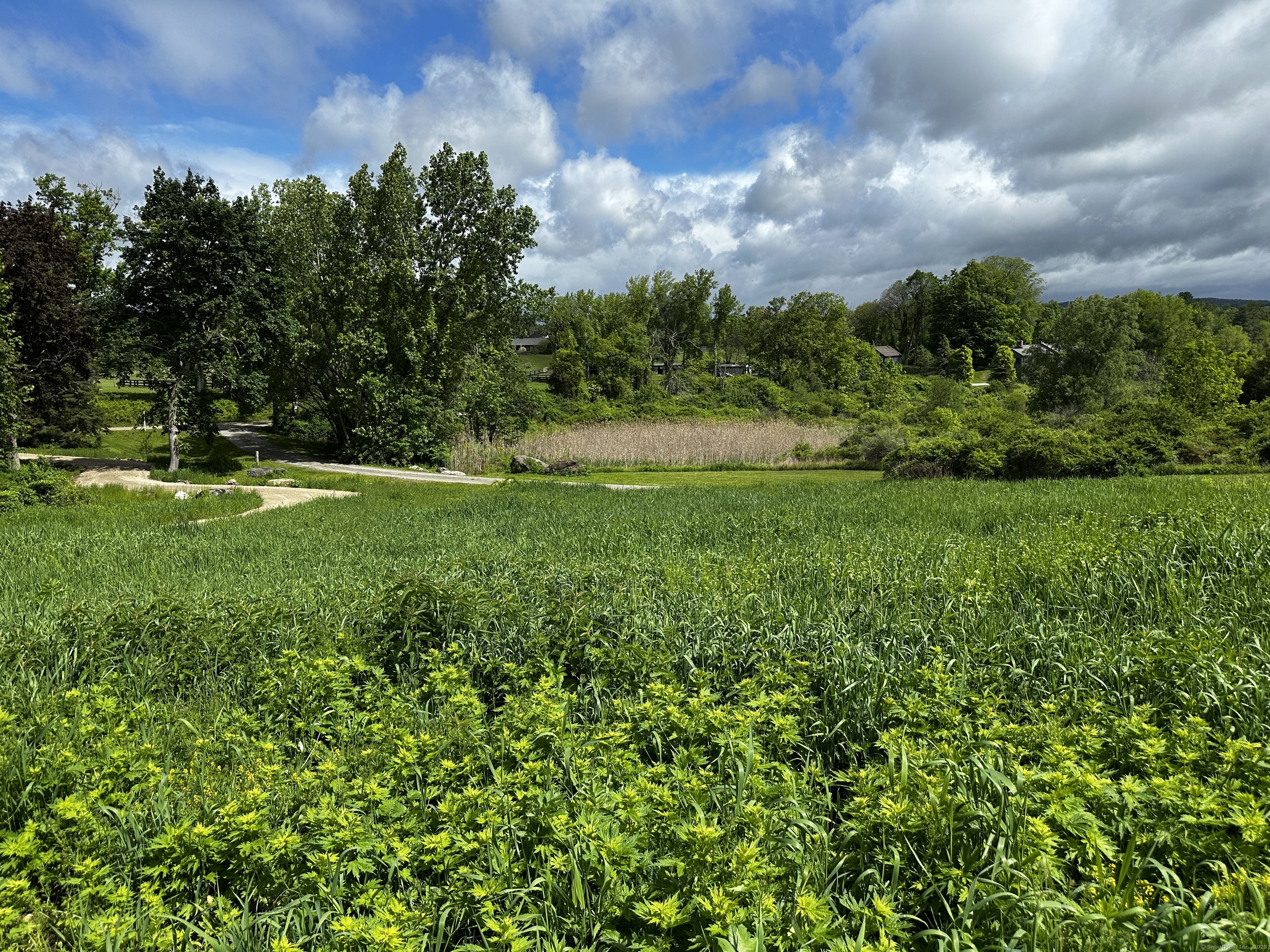 14 Red Mountain Road Property Photo 24