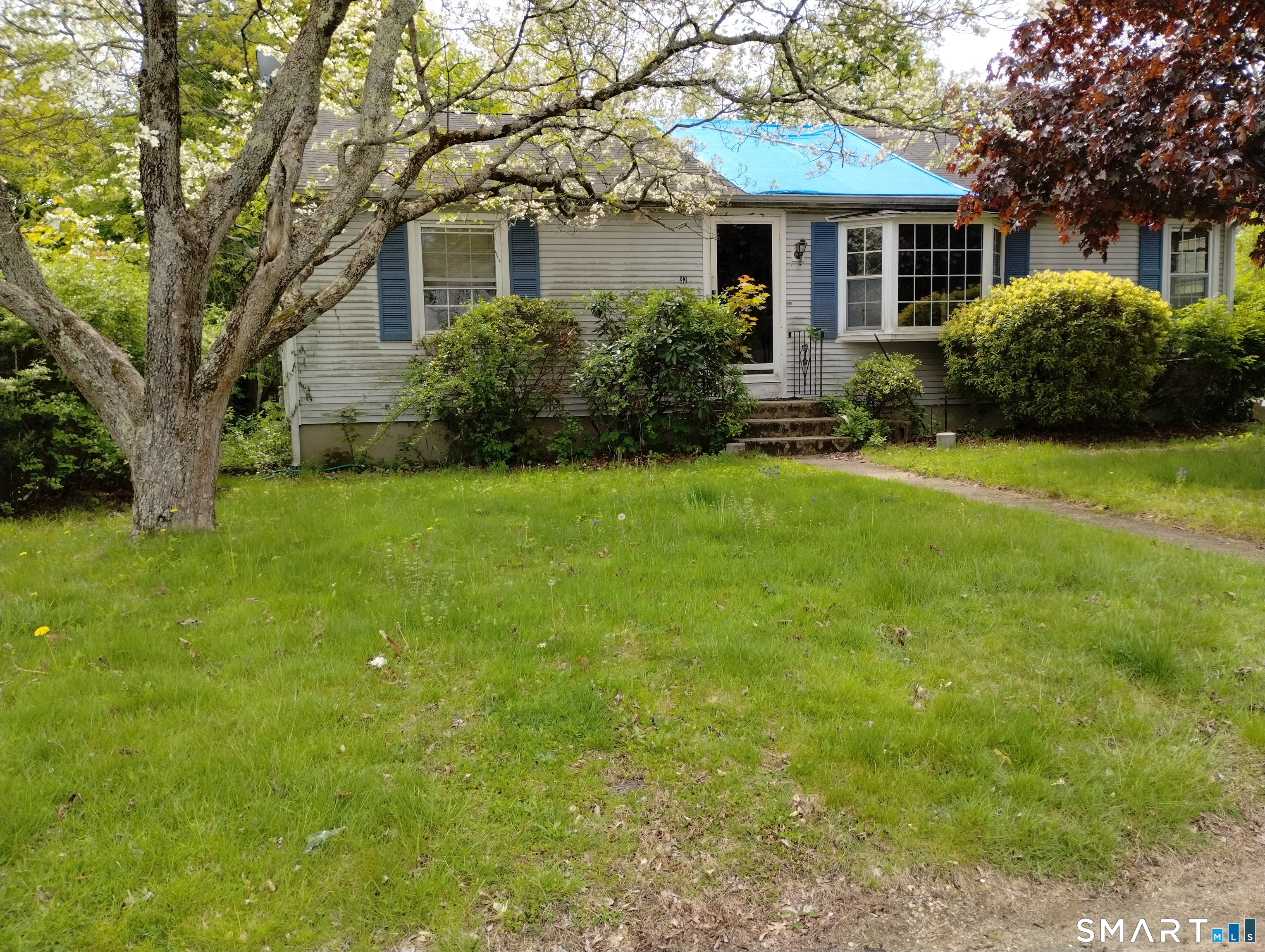 37 Ruth Street Property Photo 2
