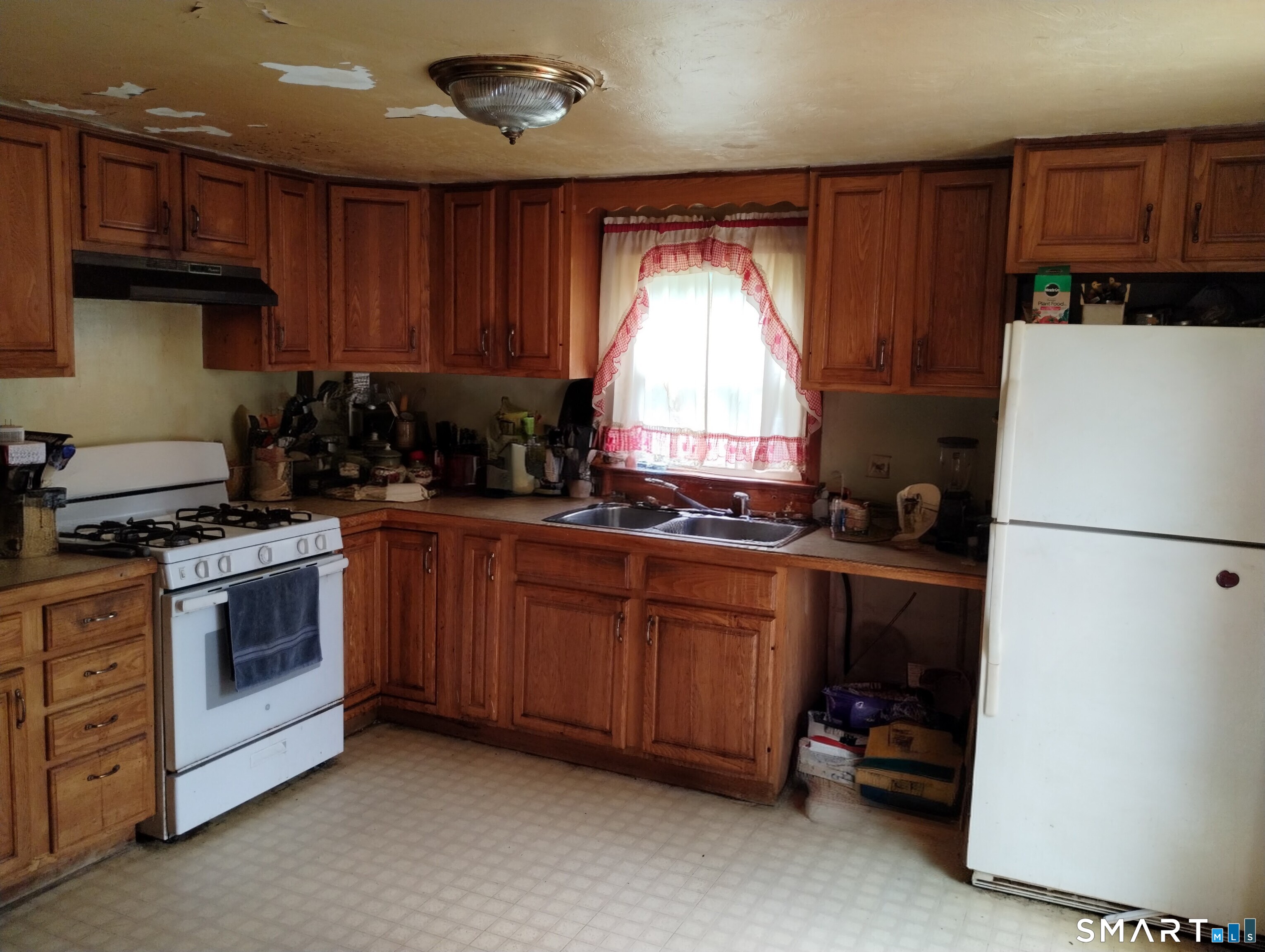 37 Ruth Street Property Photo 4