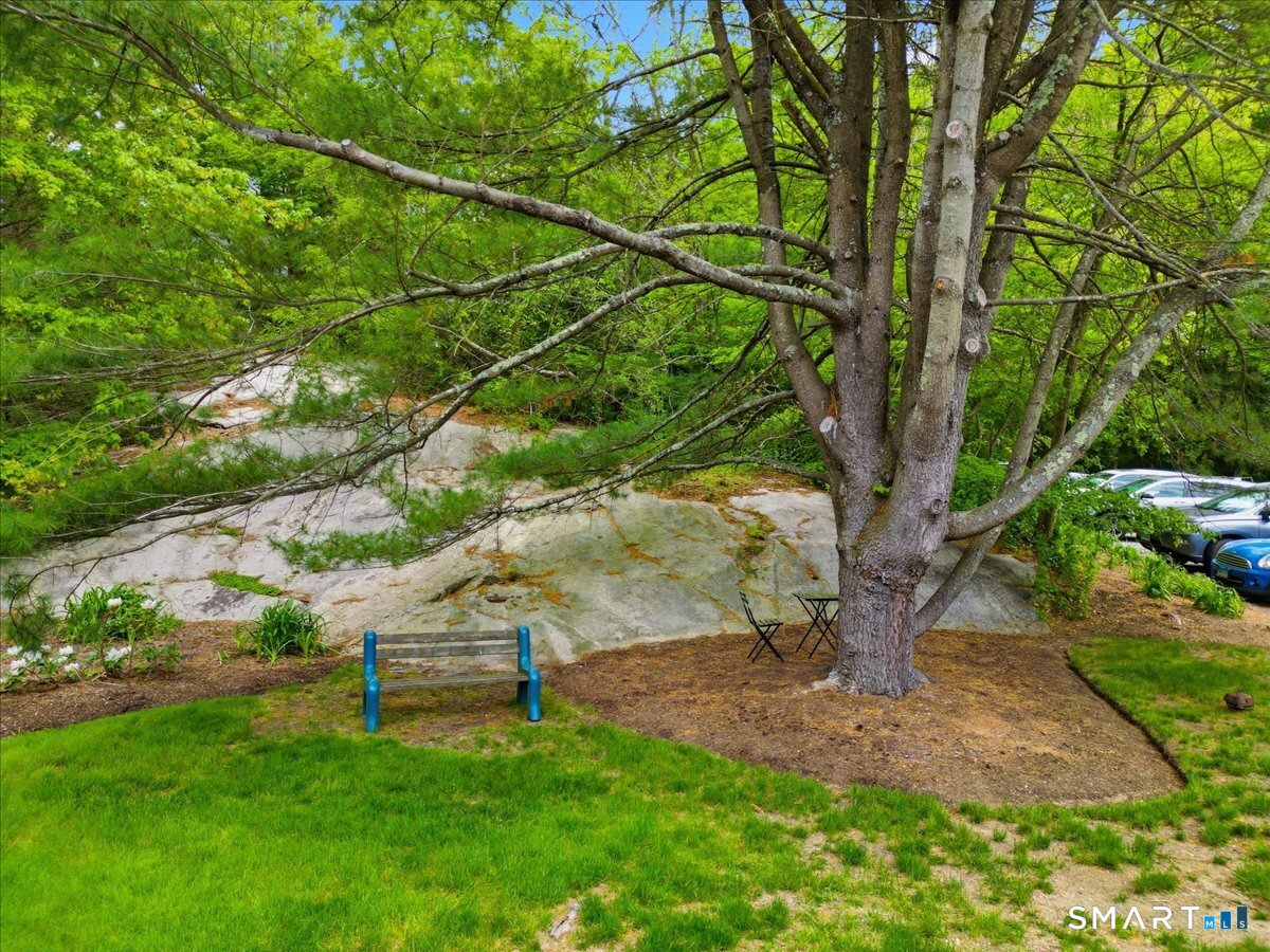 35 Saybrook N2 Road Property Photo 6