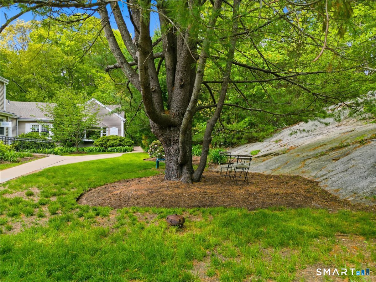 35 Saybrook N2 Road Property Photo 24