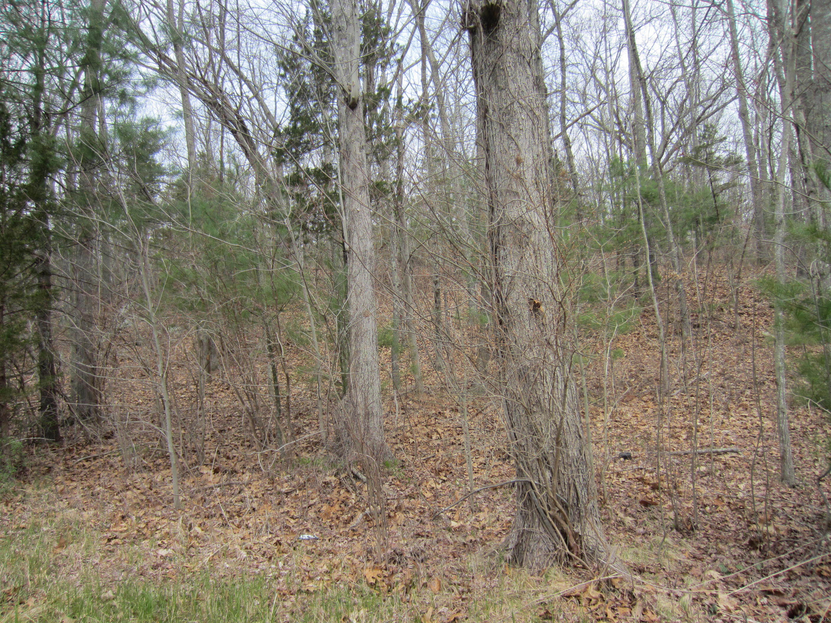 43 Fallbrook Road Property Photo 1