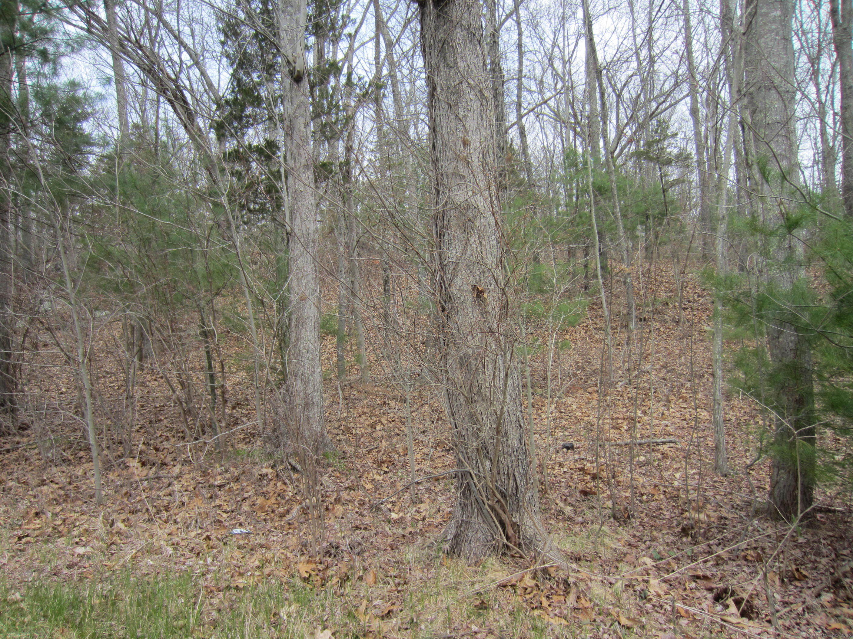 70 Cutler Road Property Photo 1