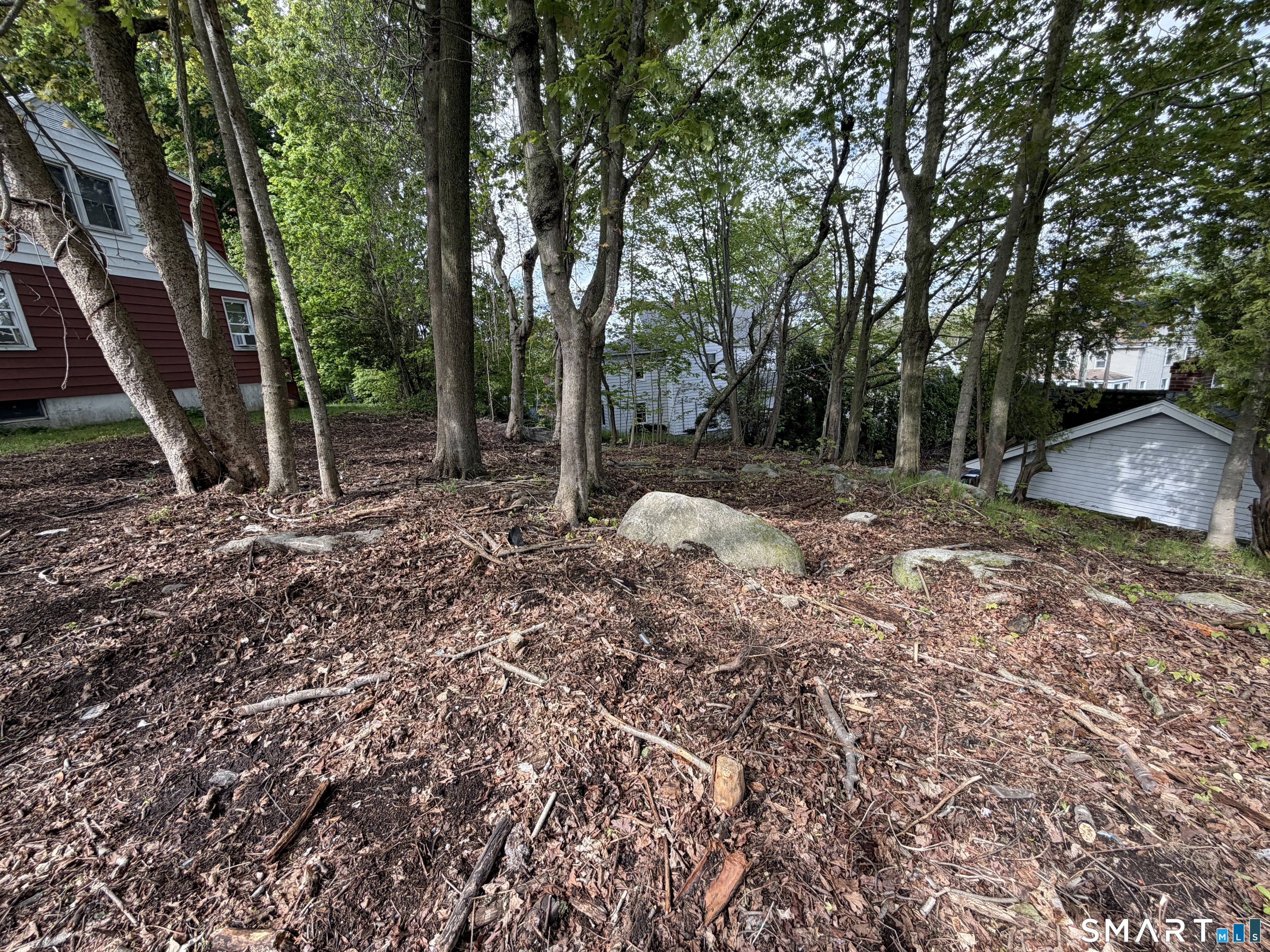 15 Beckwith Street Property Photo 2