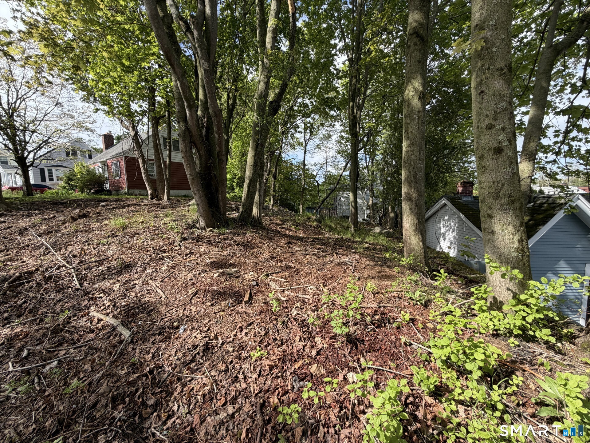 15 Beckwith Street Property Photo 3