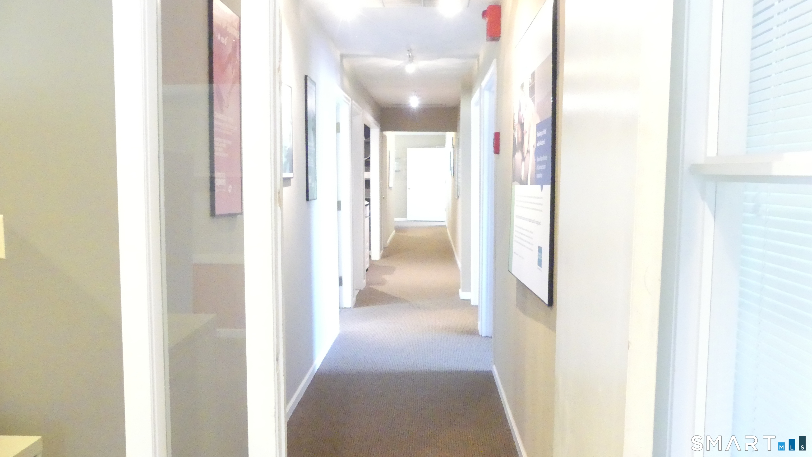 23 Amity Road Property Photo 5
