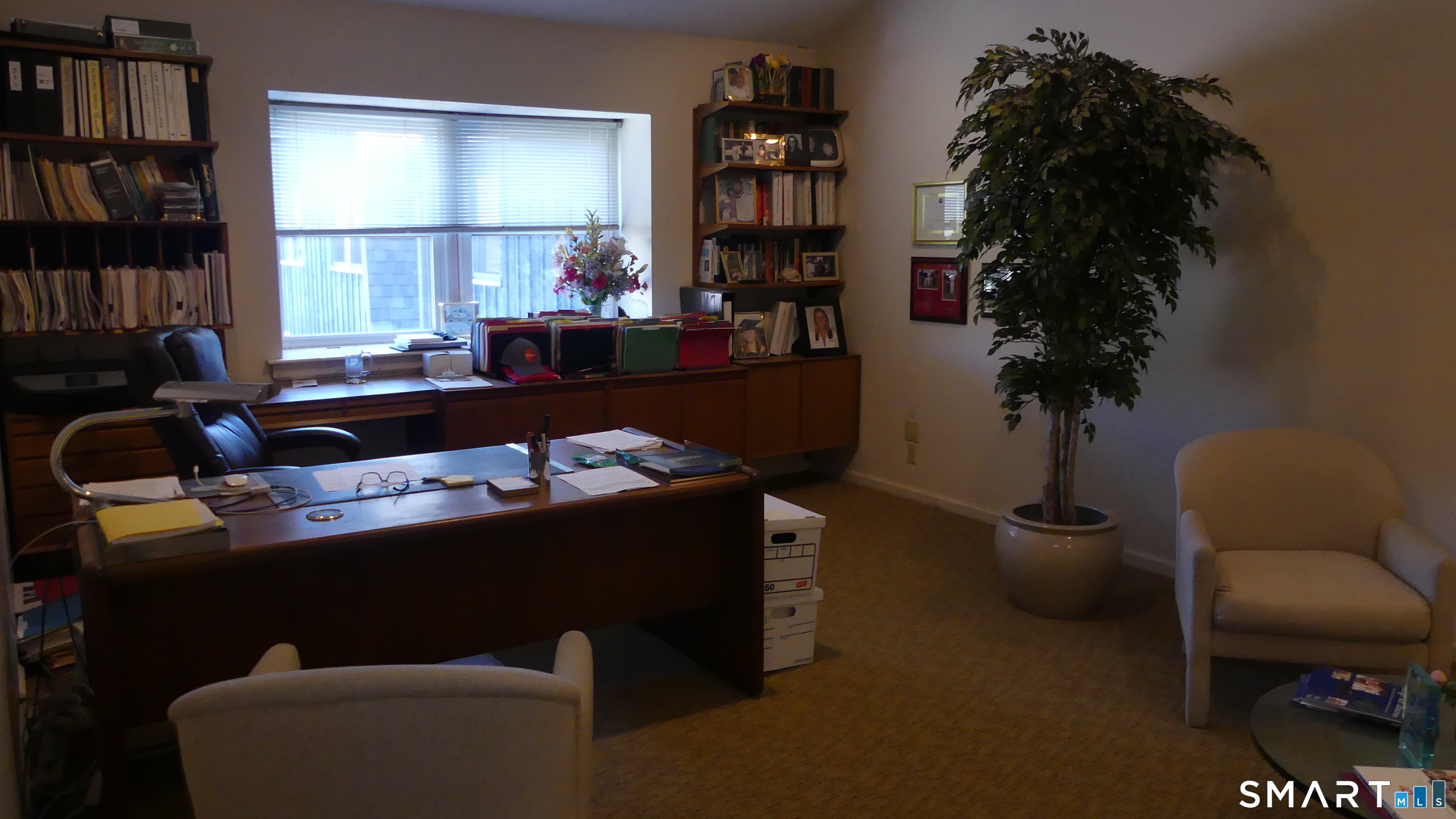 23 Amity Road Property Photo 12
