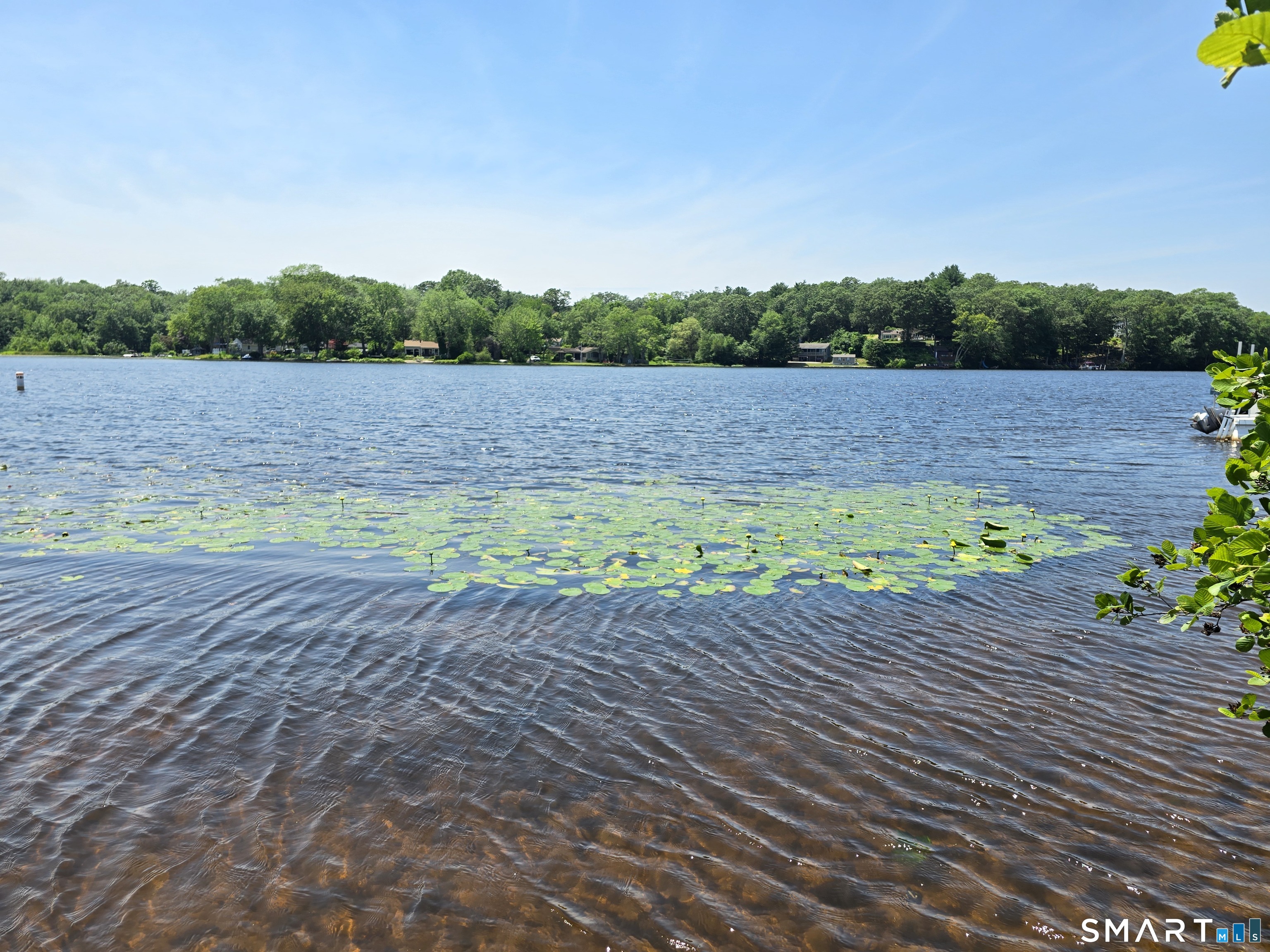 55 Dogwood Road Property Photo 23