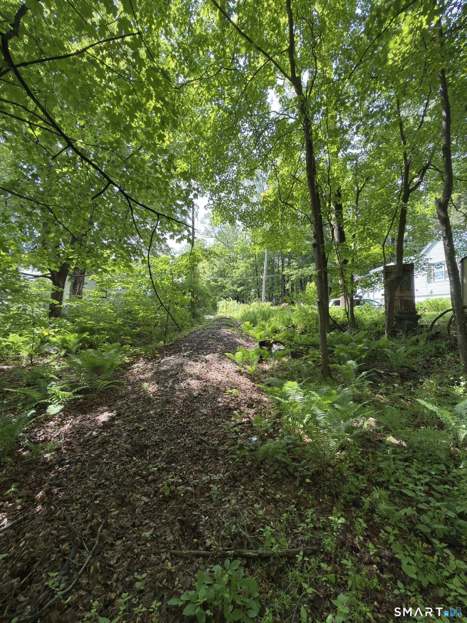 319 White Oak Trail Property Photo 2