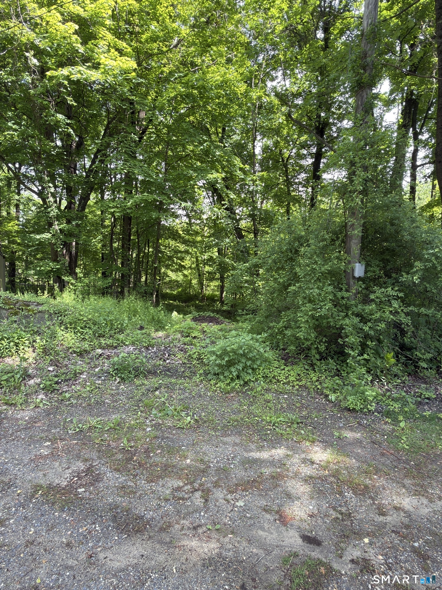 319 White Oak Trail Property Photo 3