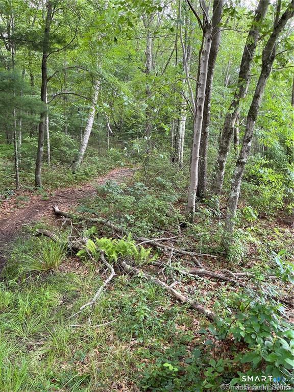 353 Allentown Road Property Photo 3