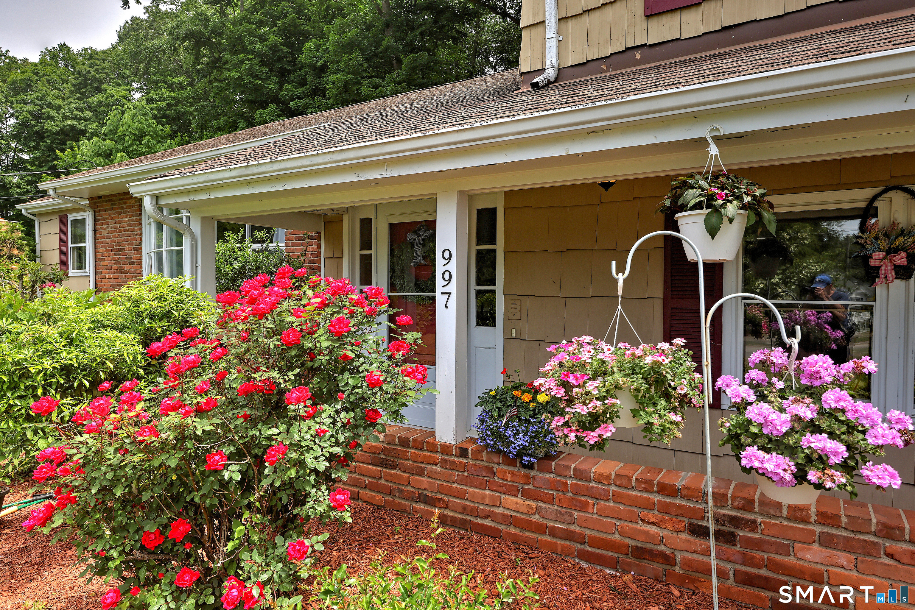 997 Rainbow Trail Property Photo 3