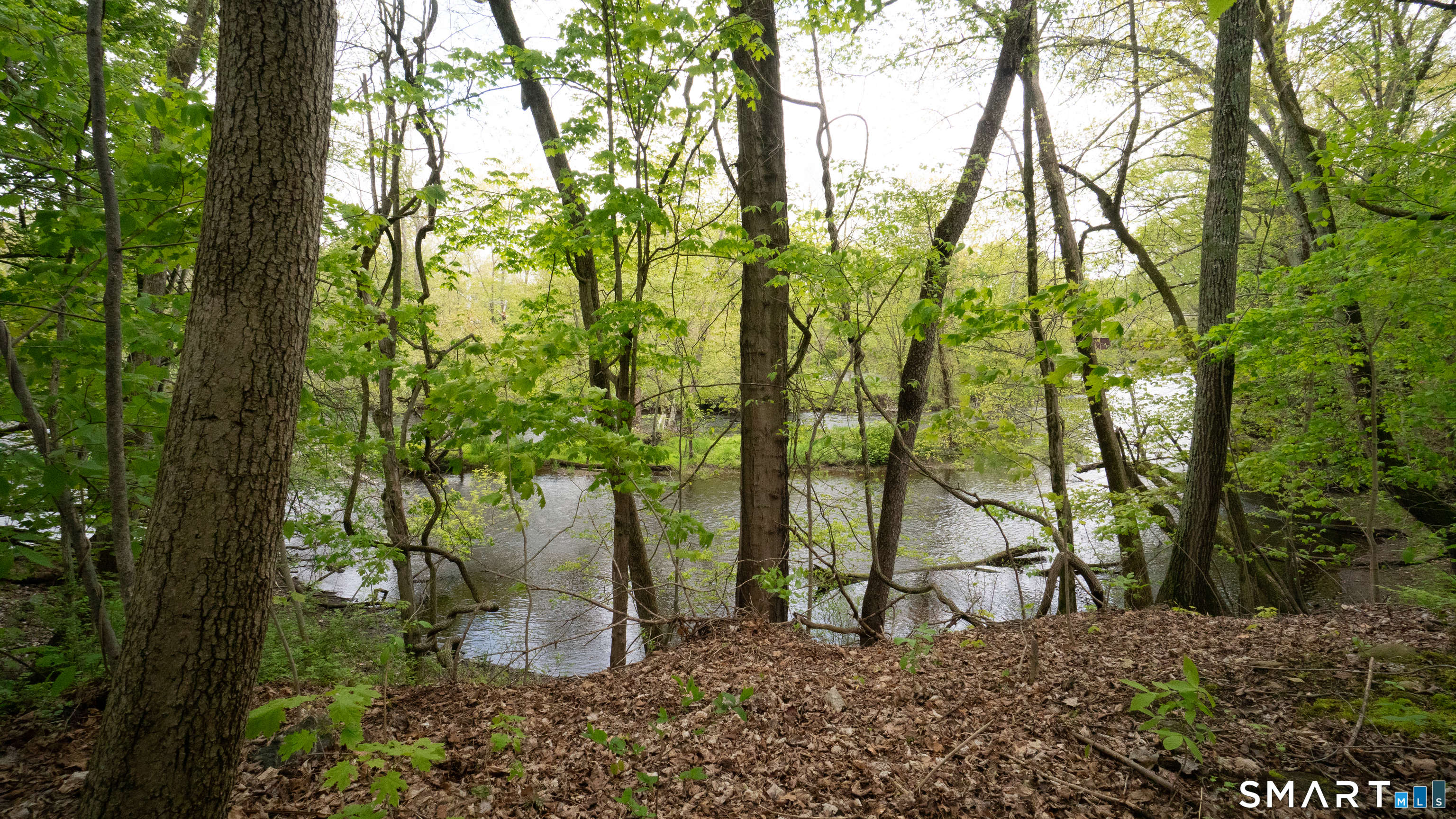 2 River Road Property Photo 2