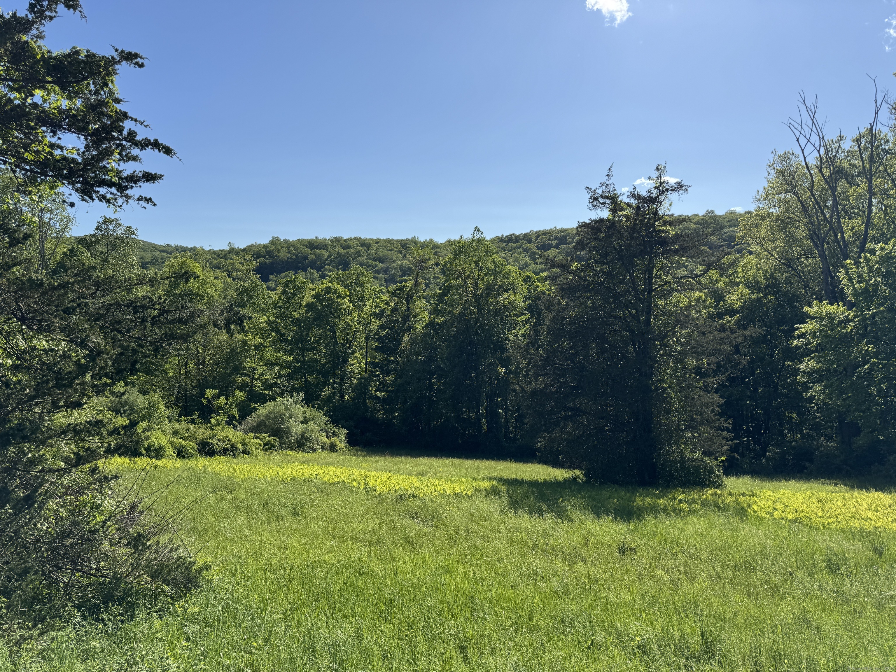Rte 39 South, State Route Property Photo 1