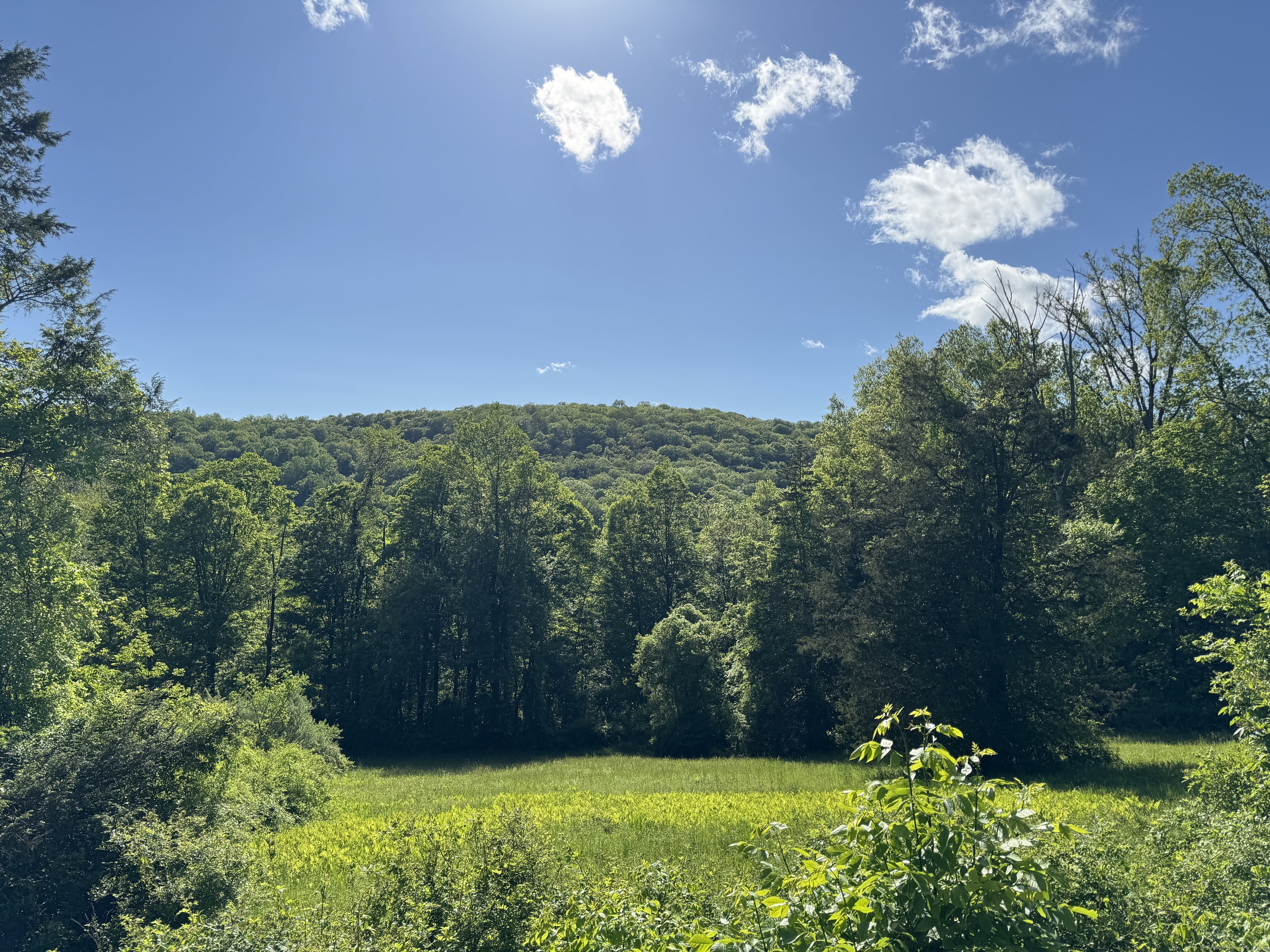 Rte 39 South, State Route Property Photo 2