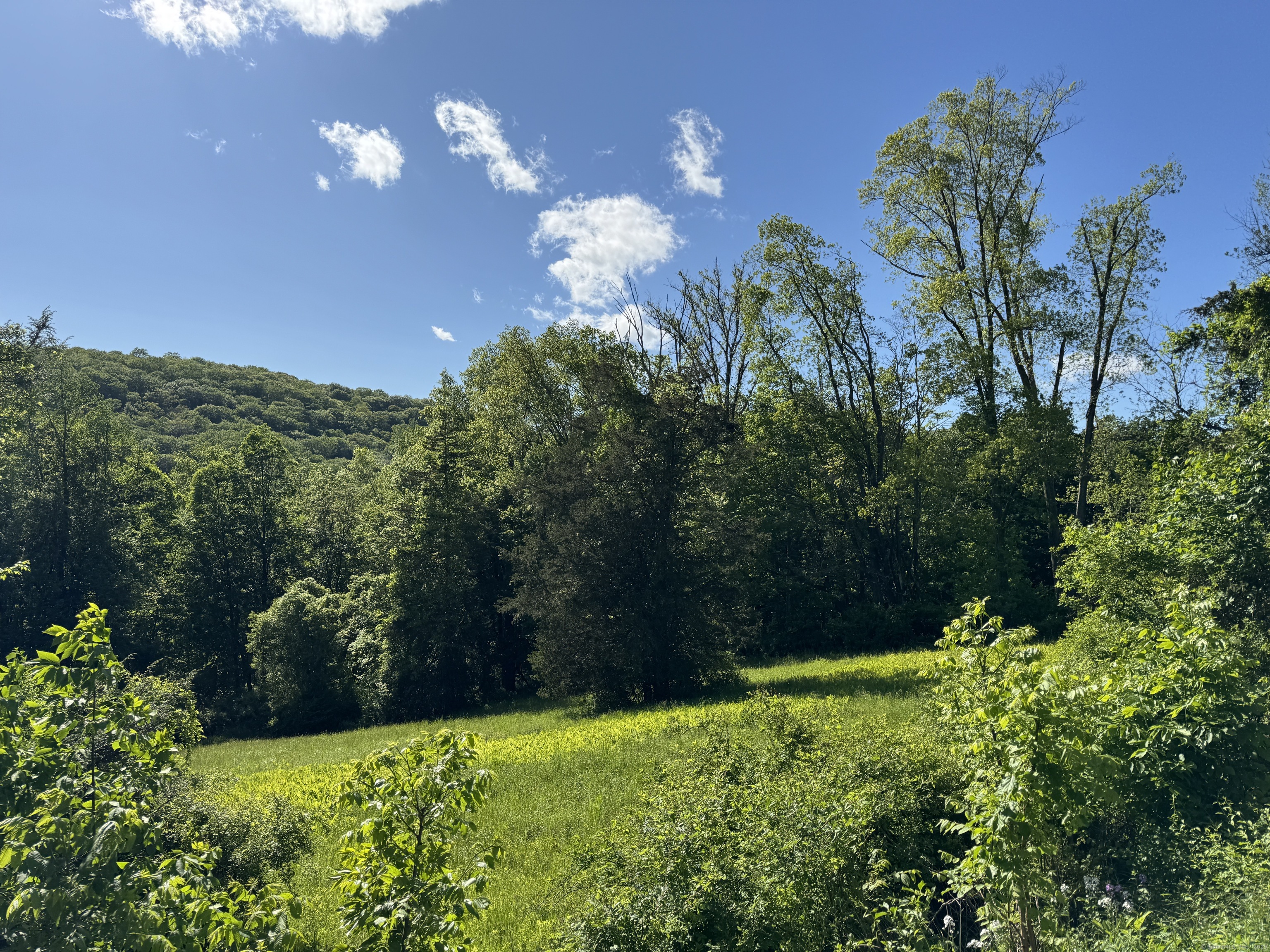 Rte 39 South, State Route Property Photo 3