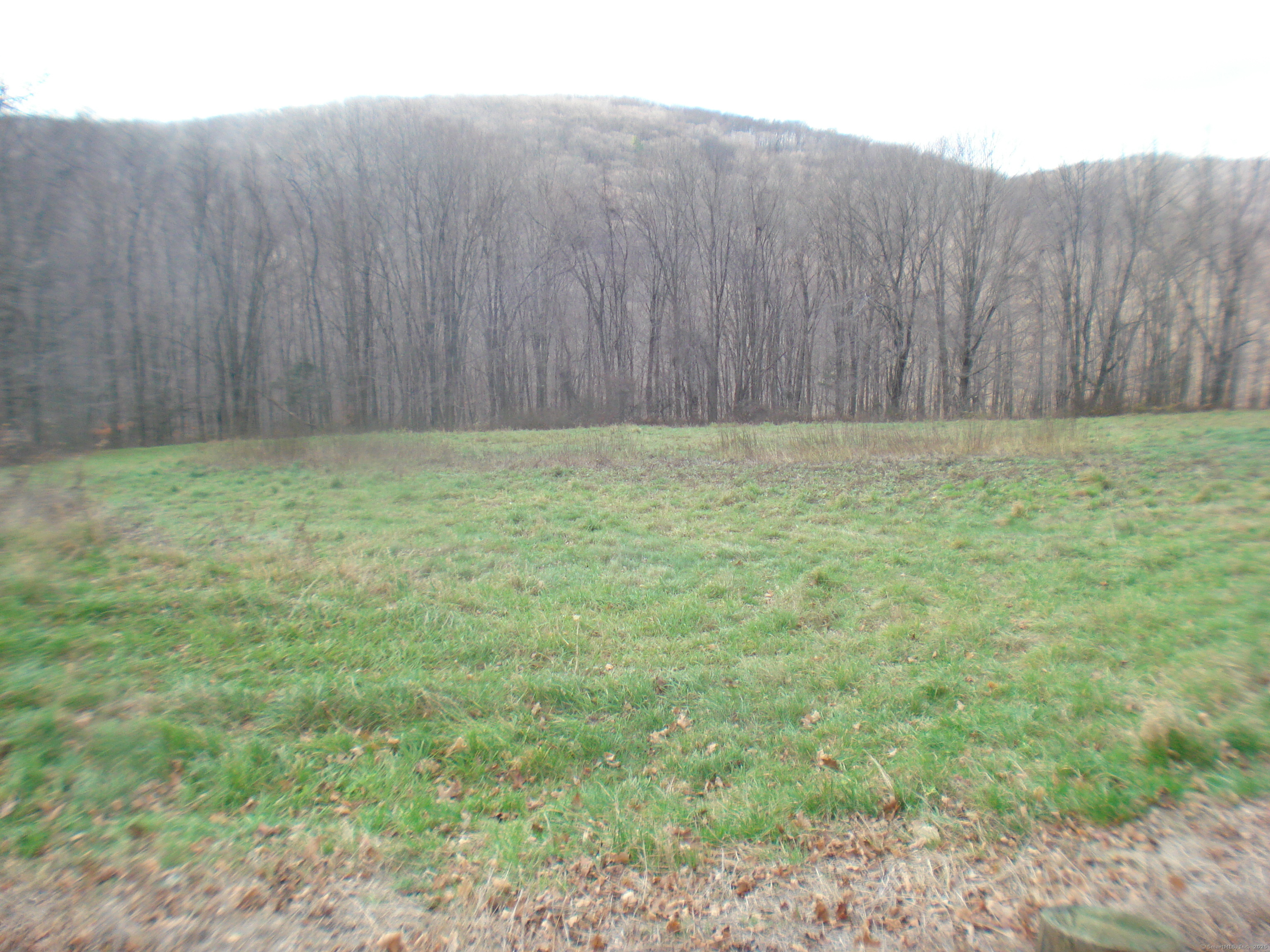 Rte 39 South, State Route Property Photo 6