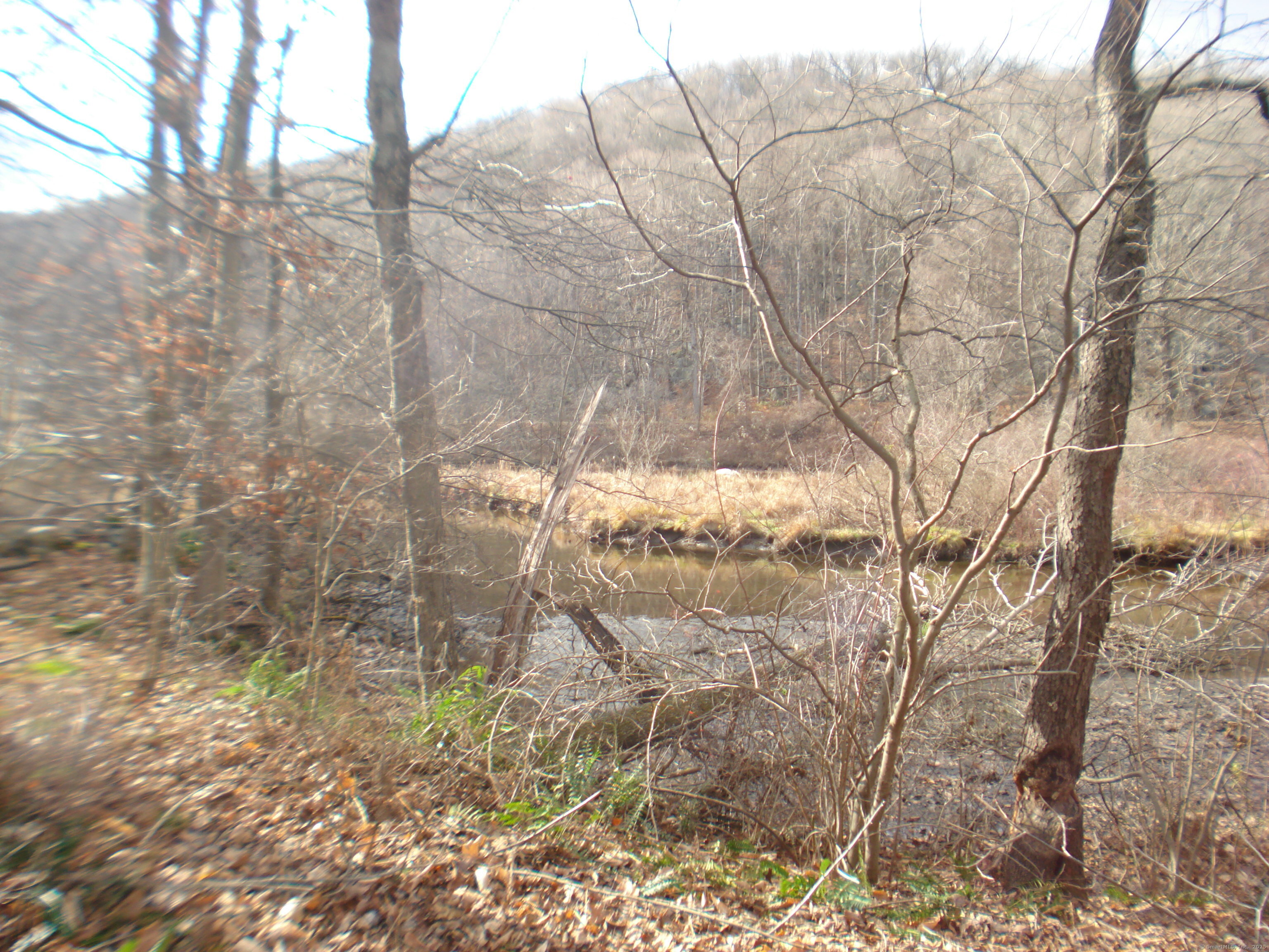 Rte 39 South, State Route Property Photo 7