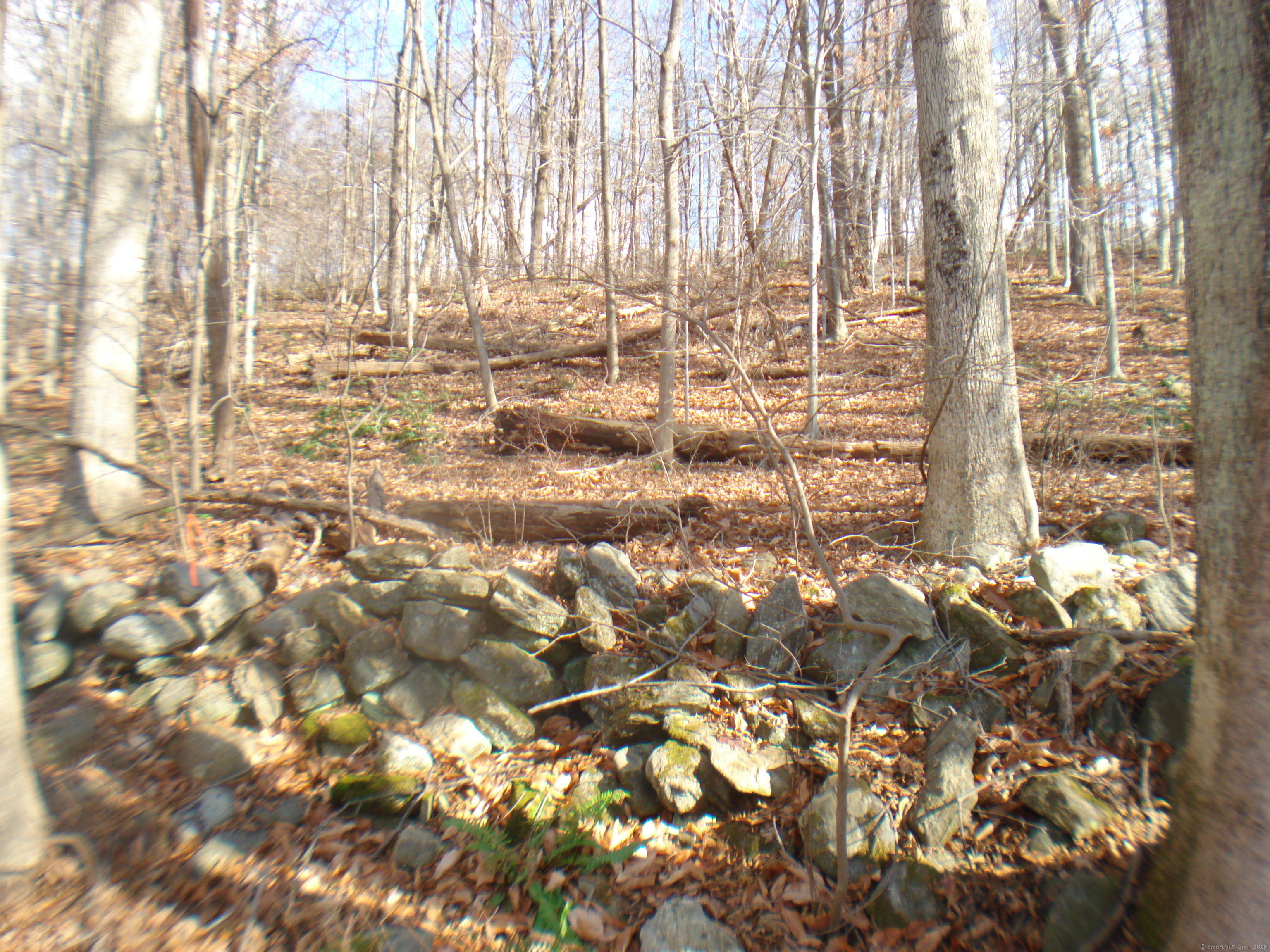 Rte 39 South, State Route Property Photo 8