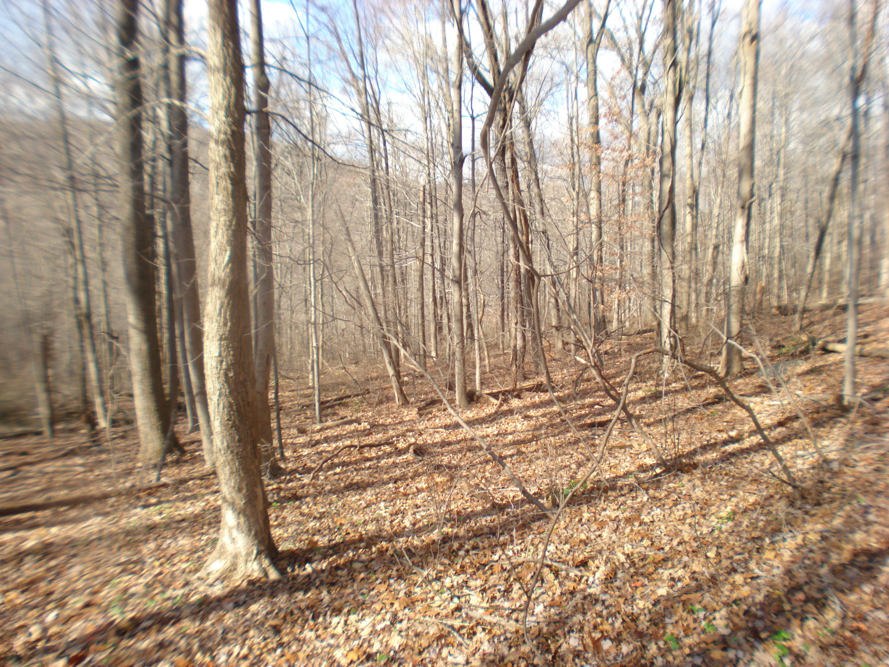 Rte 39 South, State Route Property Photo 9