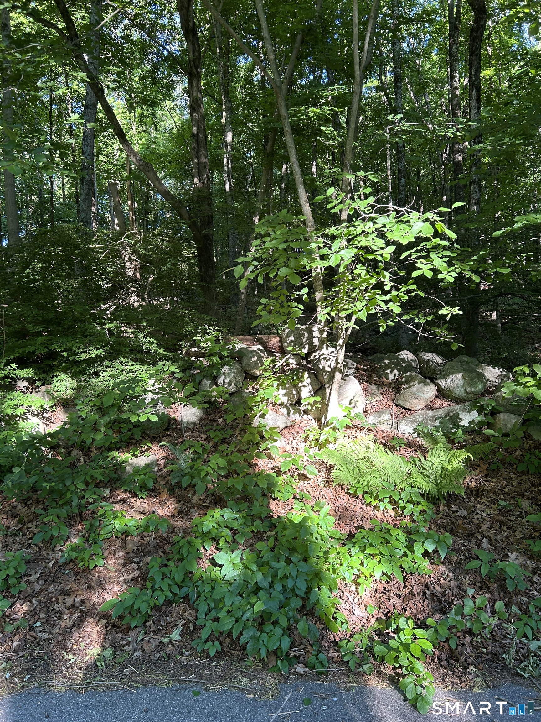 Cobbs Mill Road Property Photo 1
