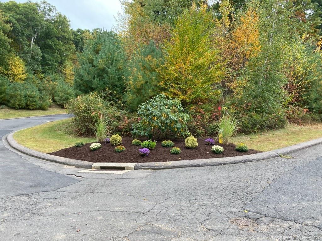 65 (loftonii) Belvedere 65 Drive Property Photo 22
