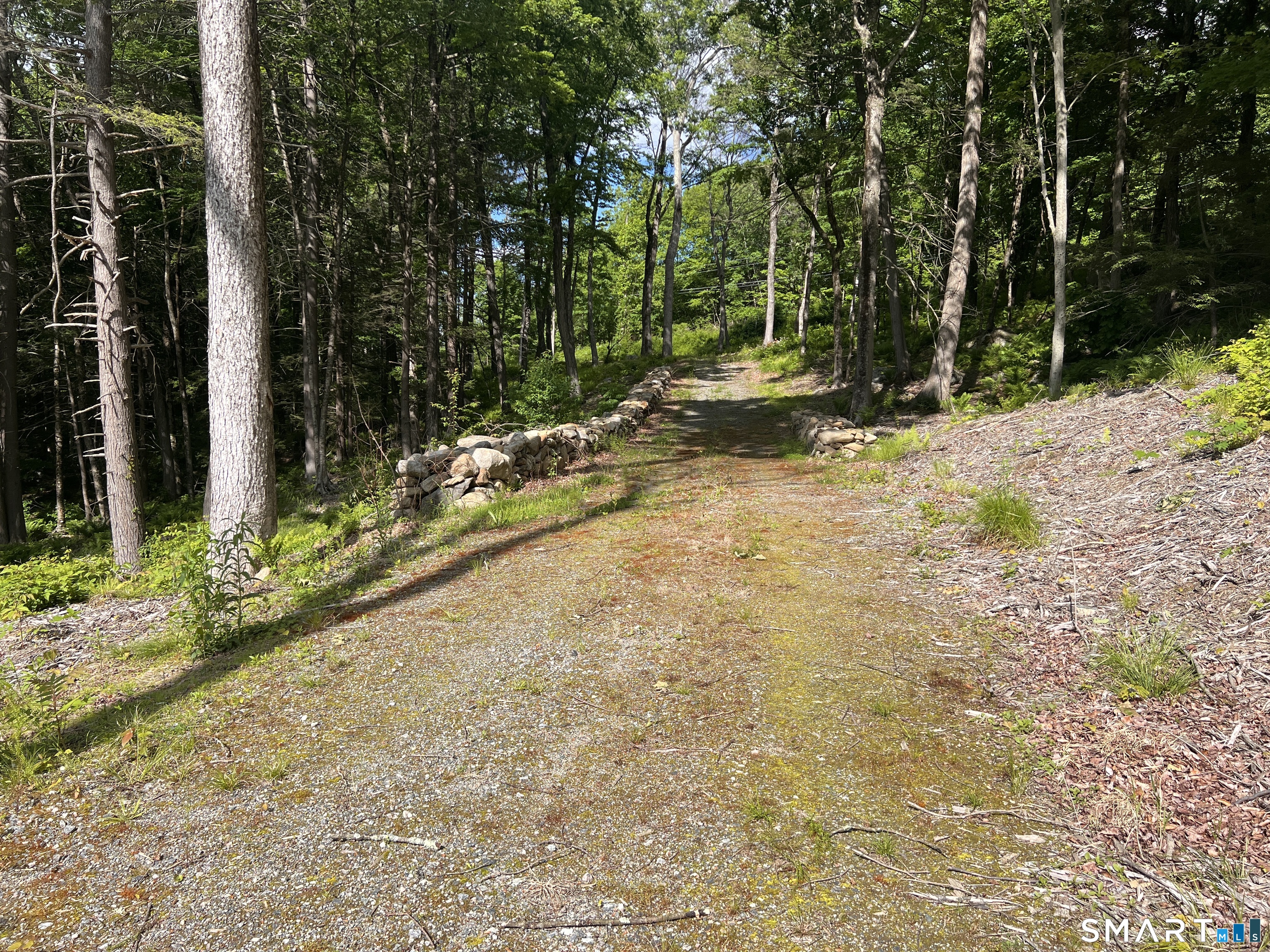 Cotton Hill Road Property Photo 4