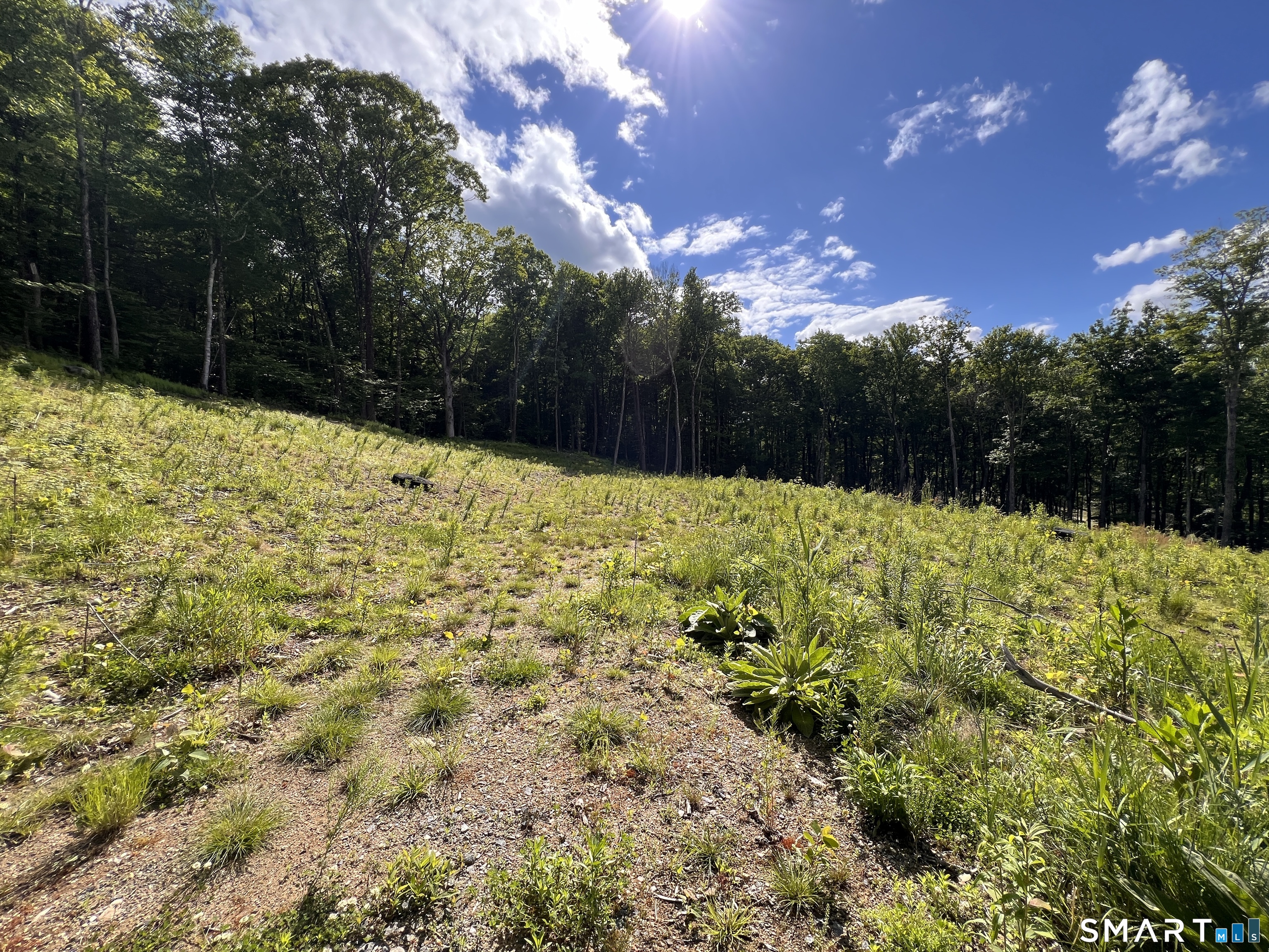 Cotton Hill Road Property Photo 8