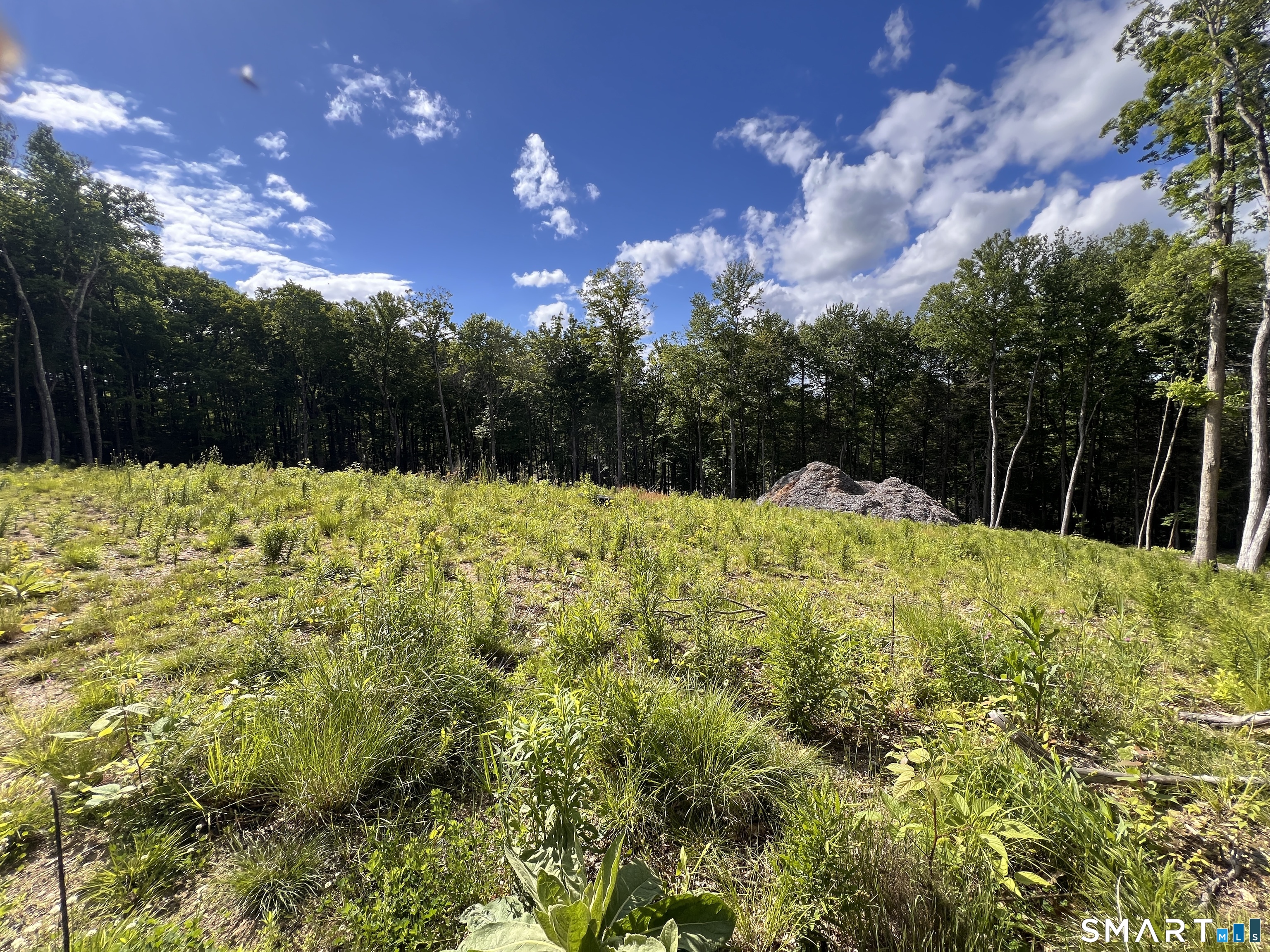 Cotton Hill Road Property Photo 9