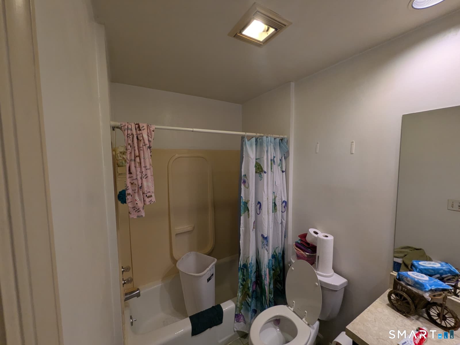 147 Jubilee Street Property Photo 4