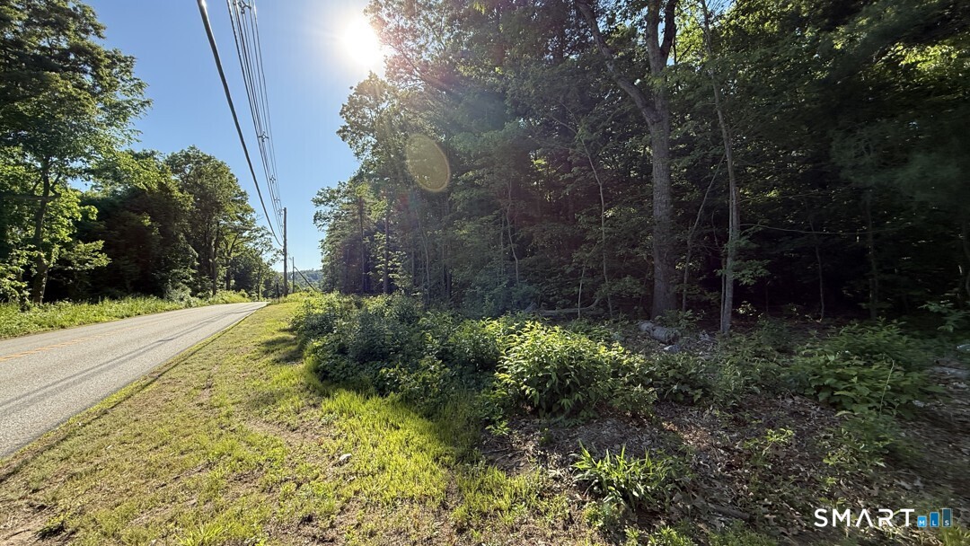 220 Plains Road Property Photo 8